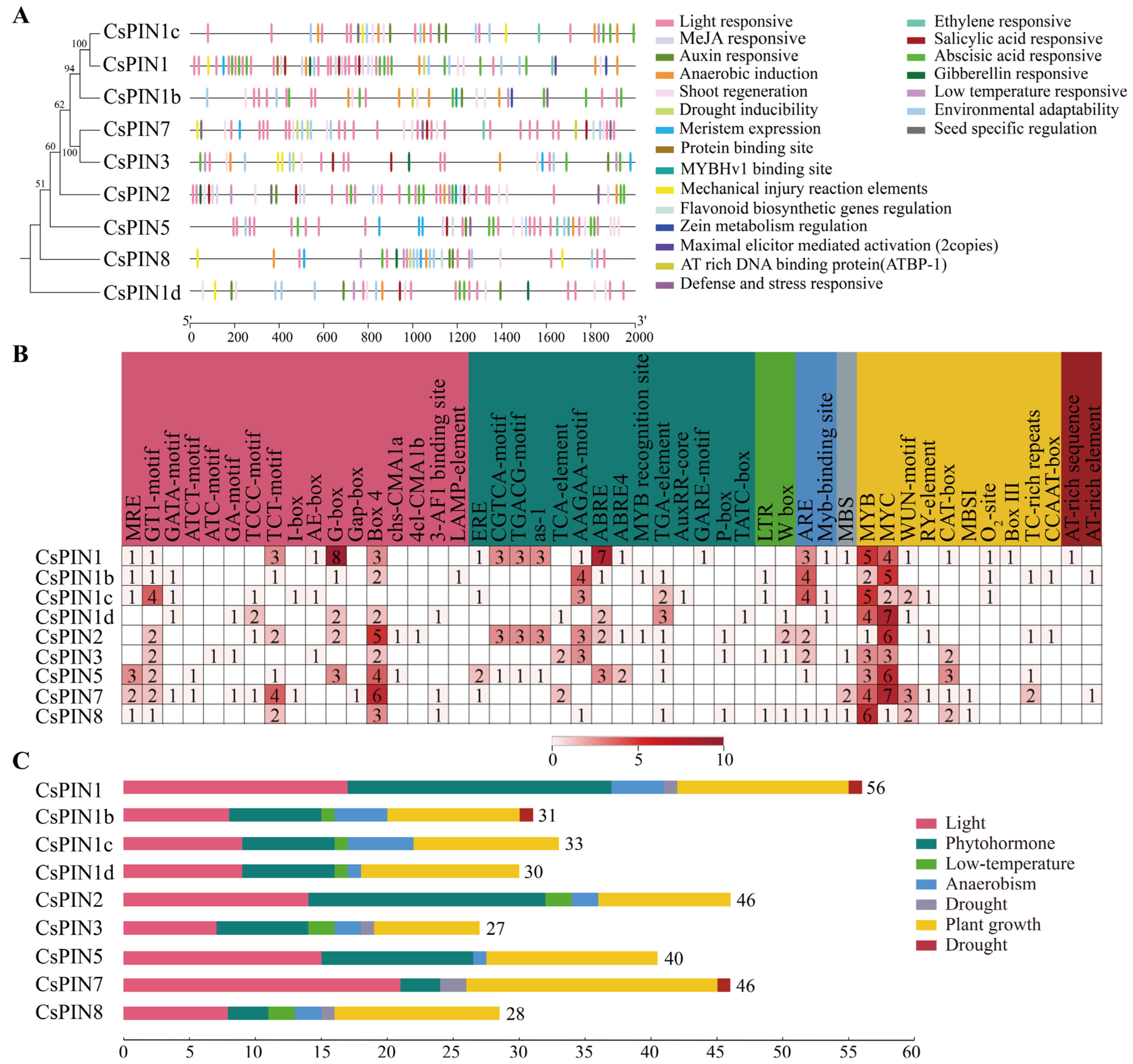 Plants 14 01566 g004
