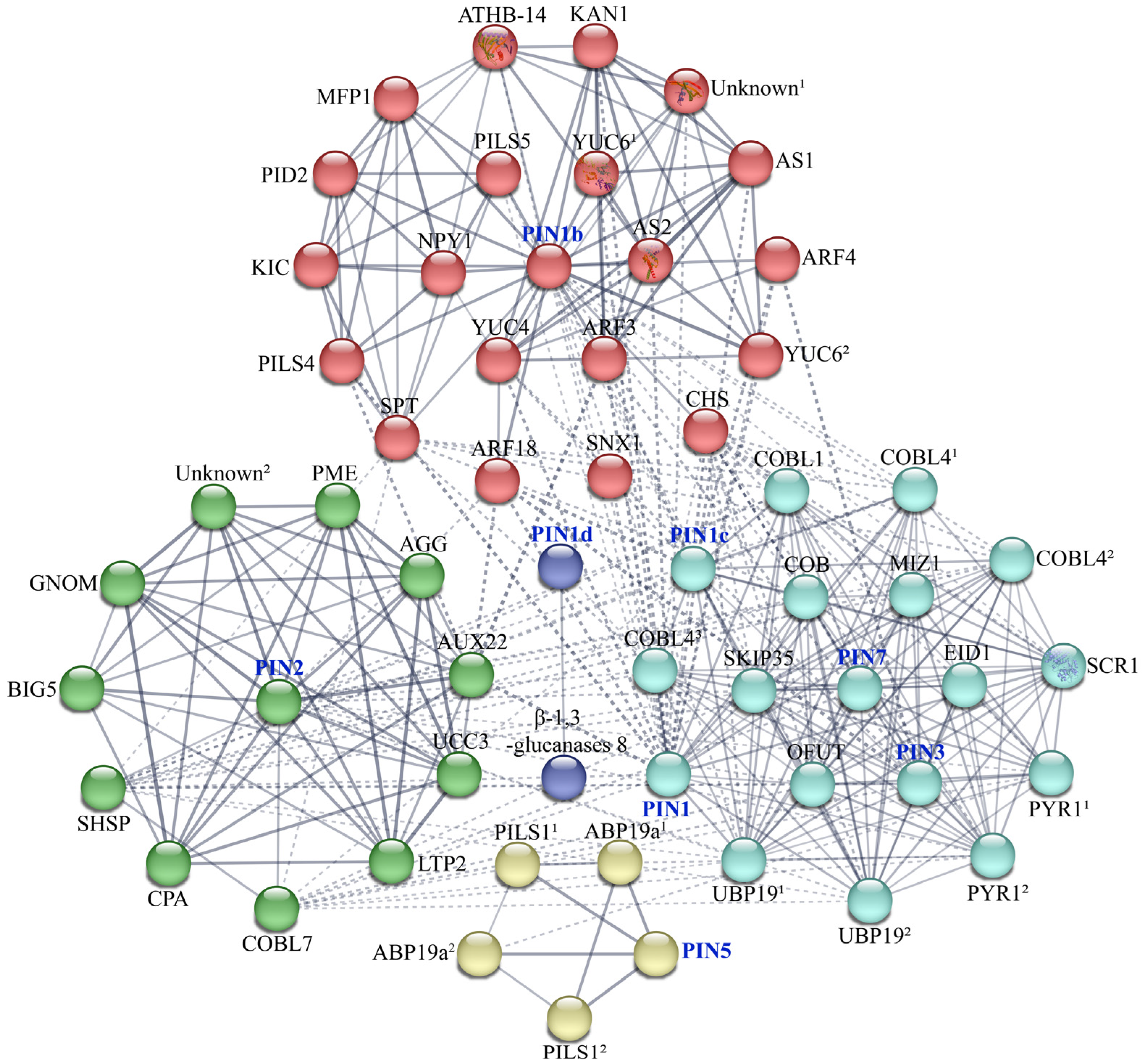 Plants 14 01566 g005