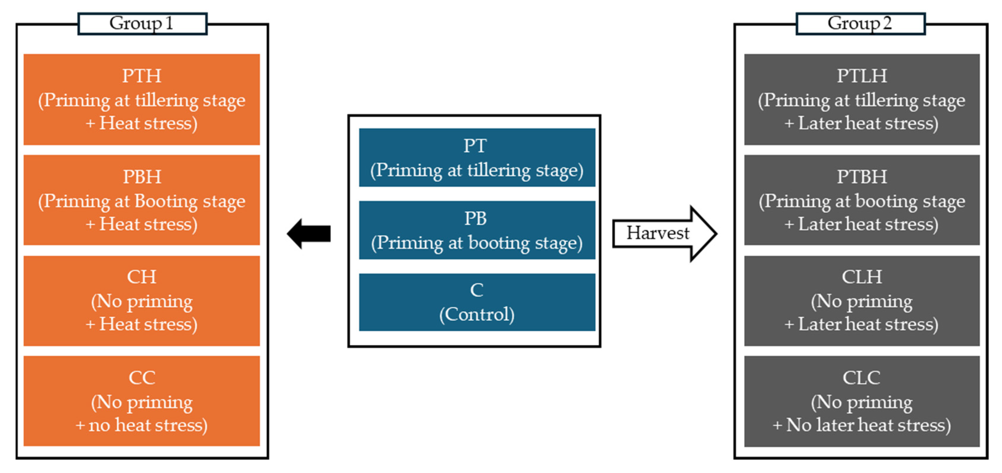 Plants 14 01593 g001