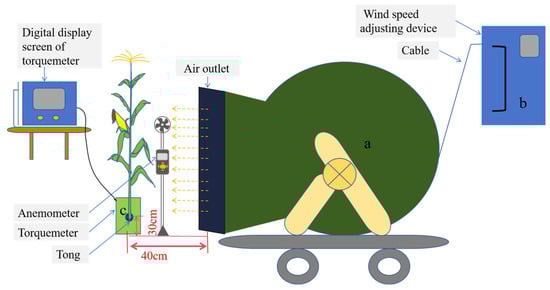 Plants 14 01598 g008