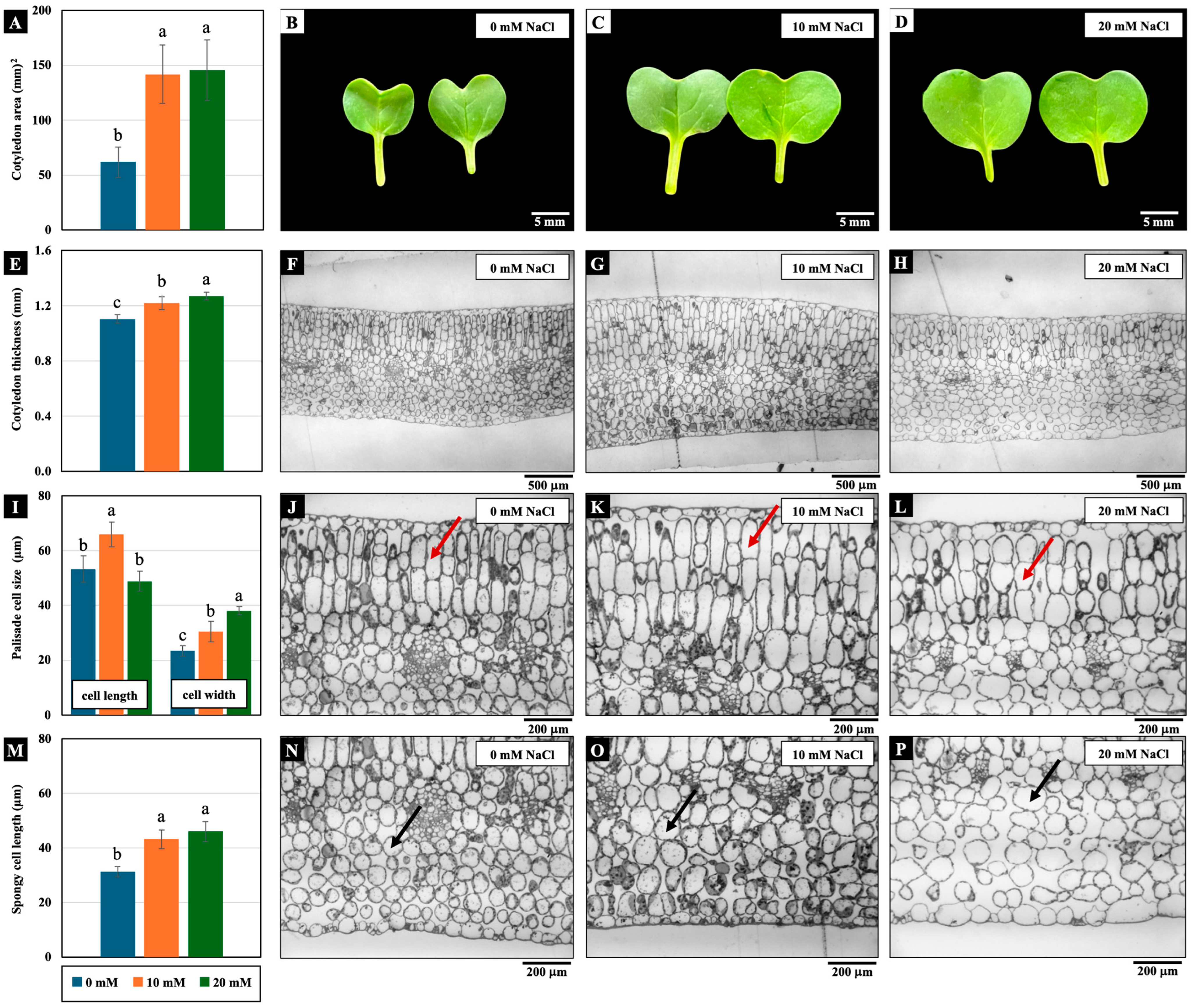 Plants 14 01616 g003