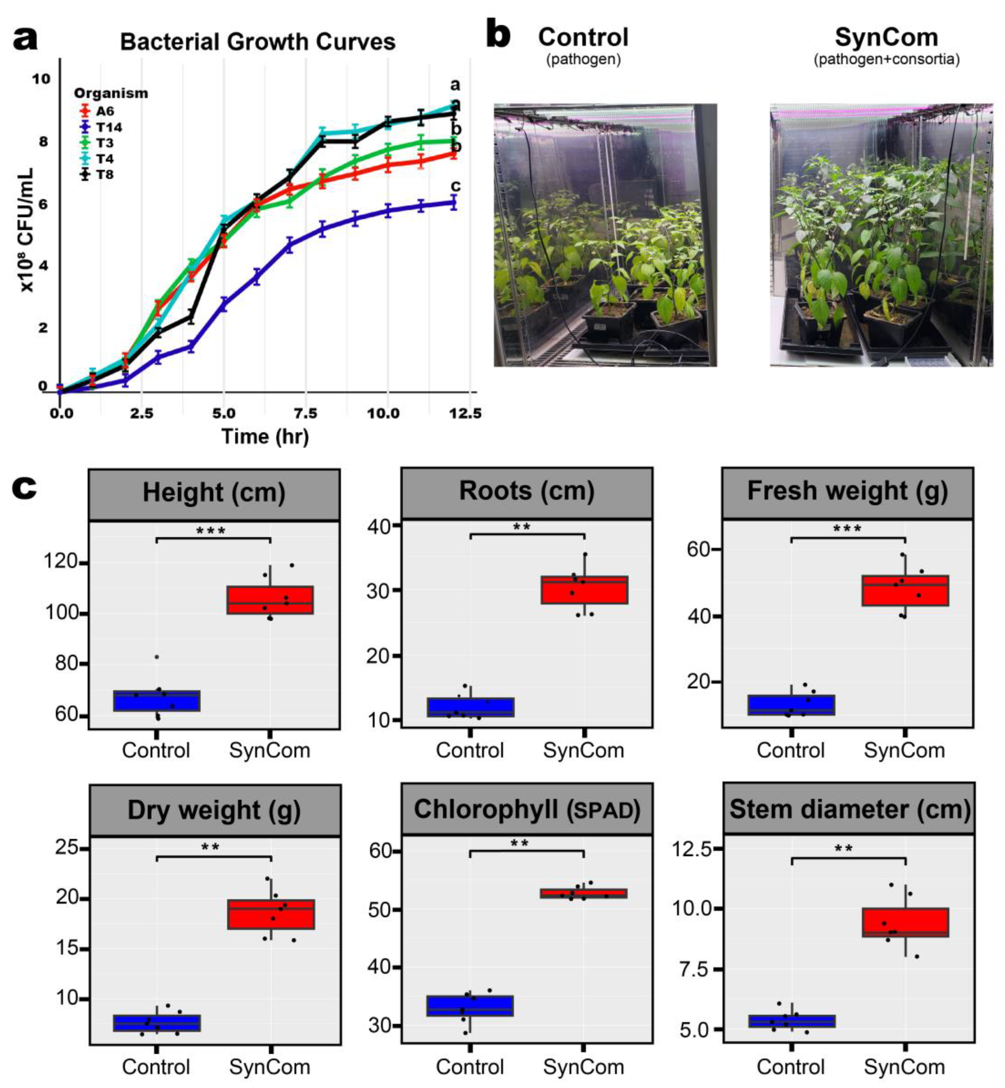 Plants 14 01625 g001 Plants 14 01625 g001