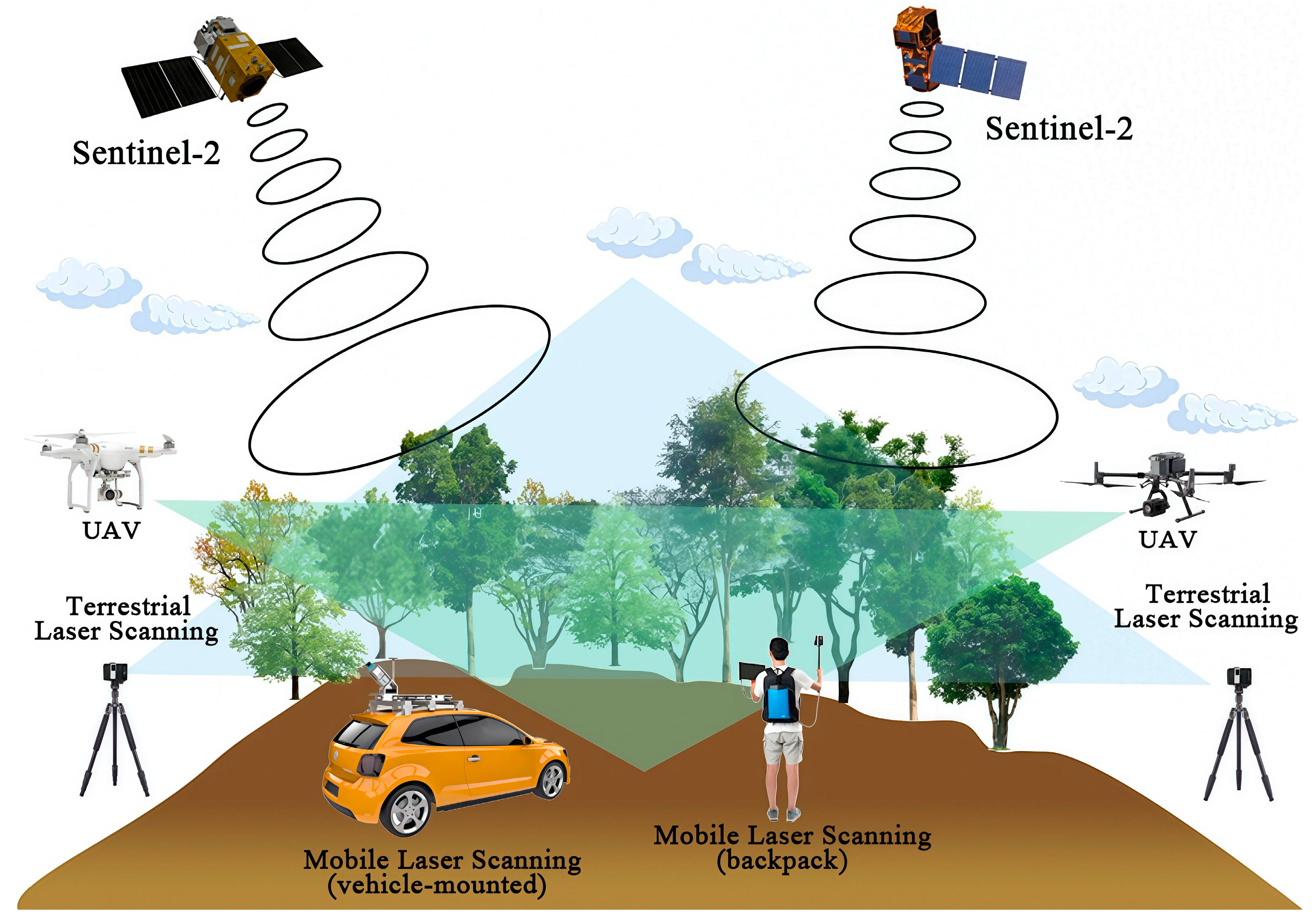 Plants 14 01626 g002