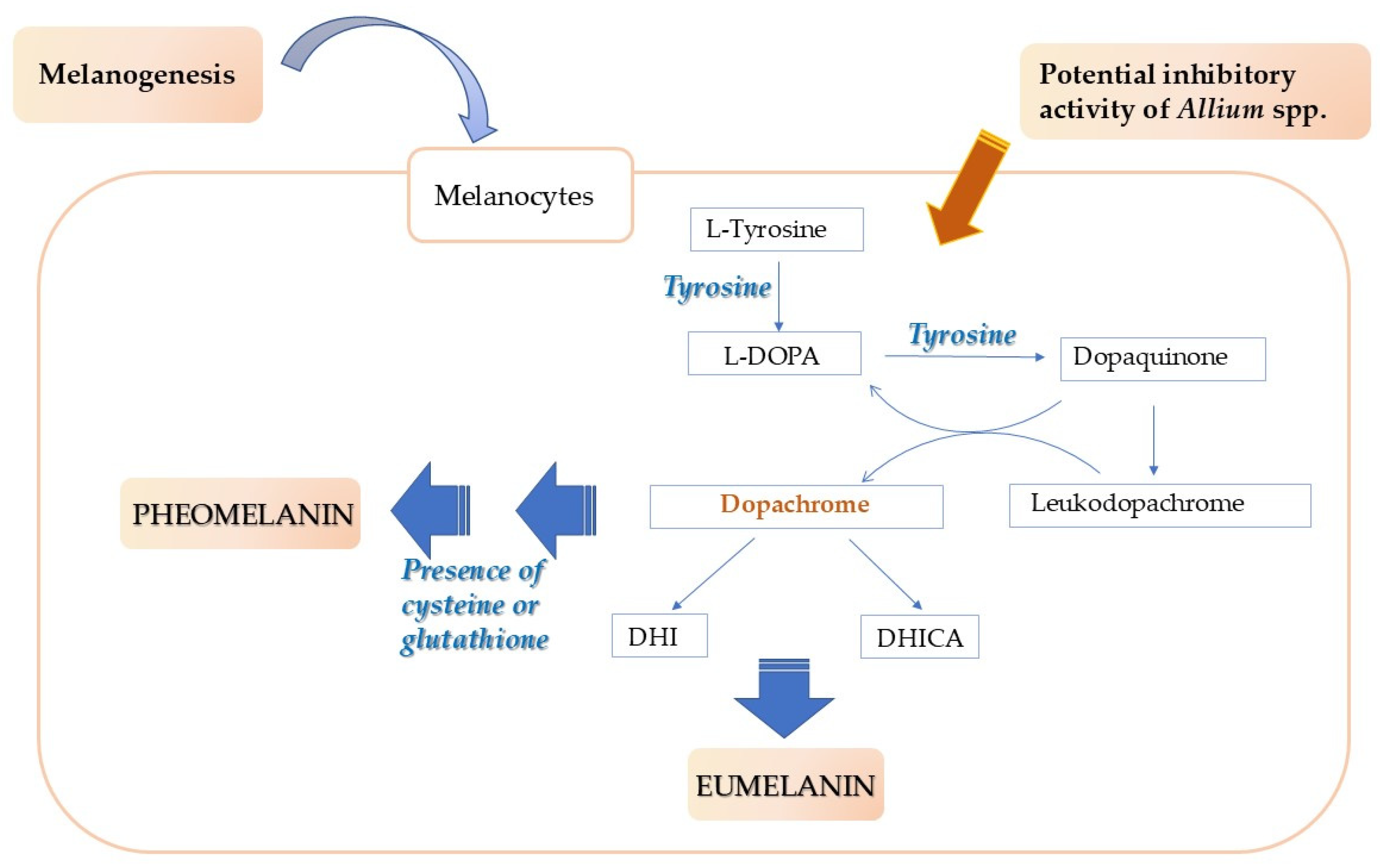 Plants 14 01635 g004