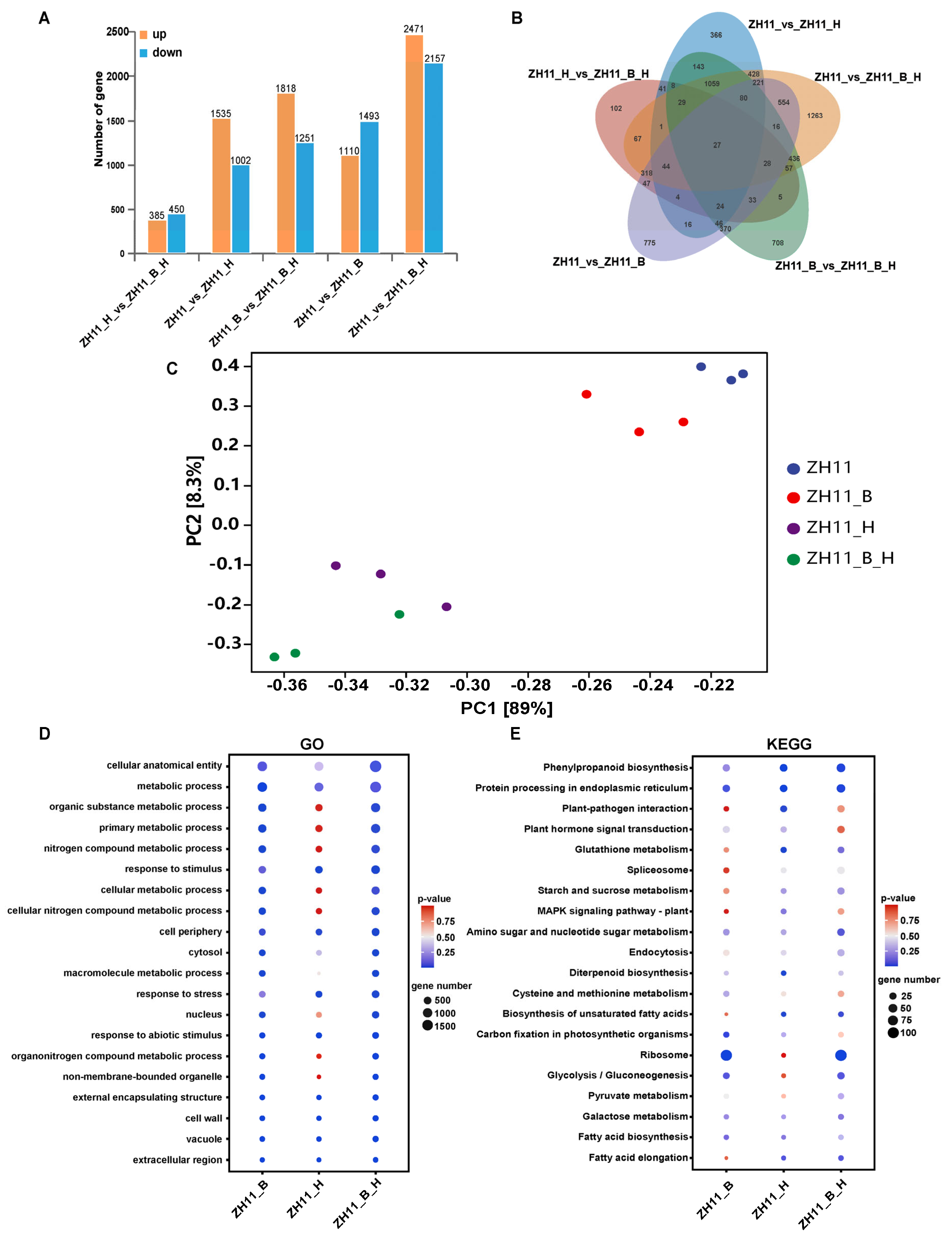Plants 14 01644 g002