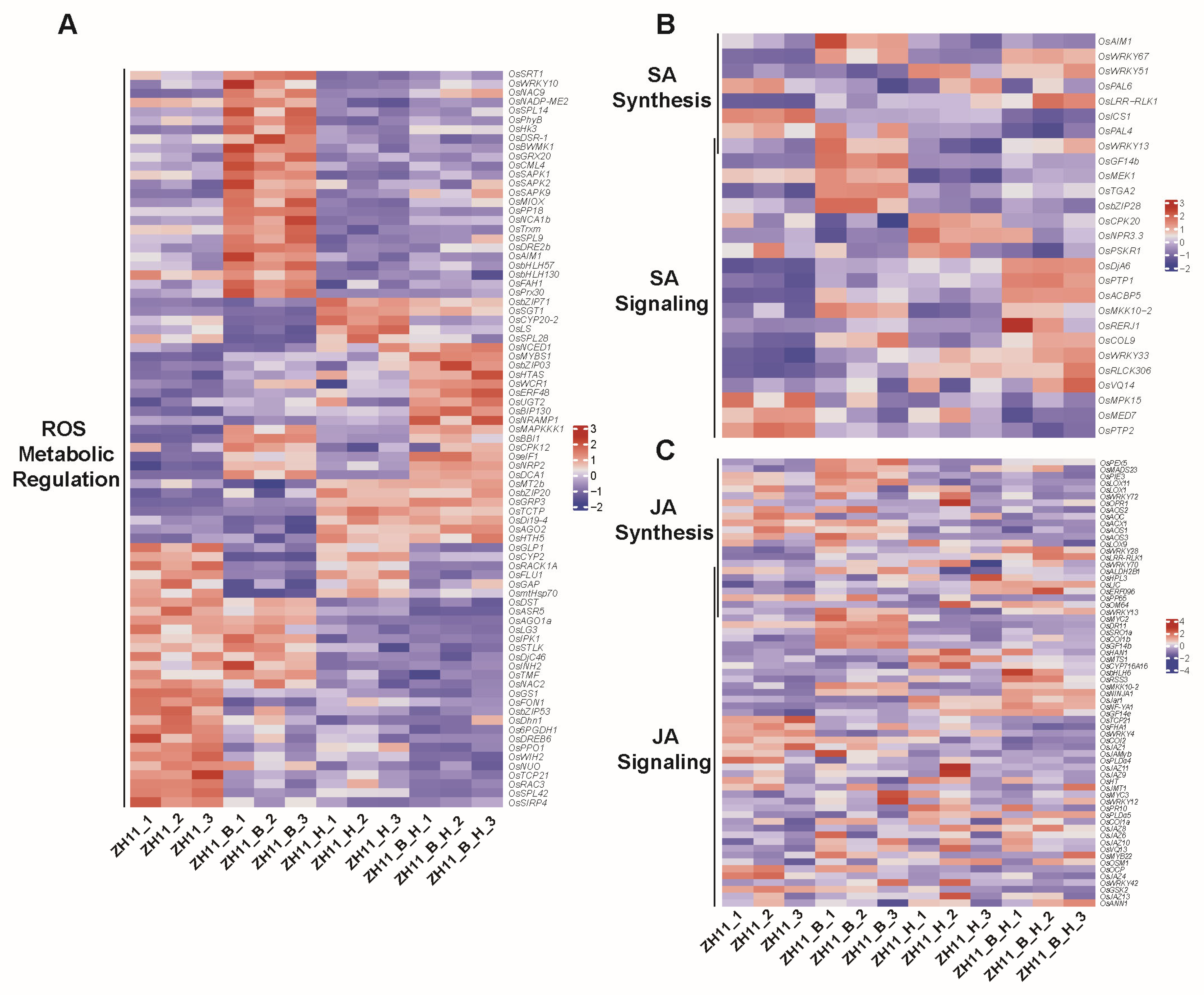 Plants 14 01644 g003