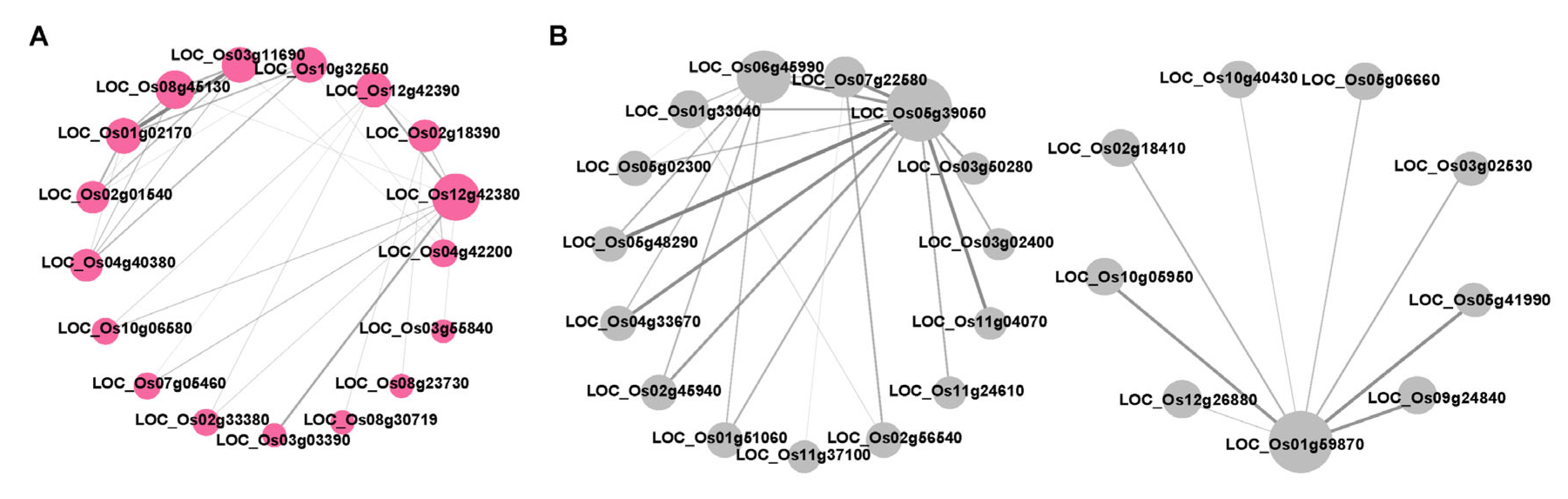 Plants 14 01644 g006