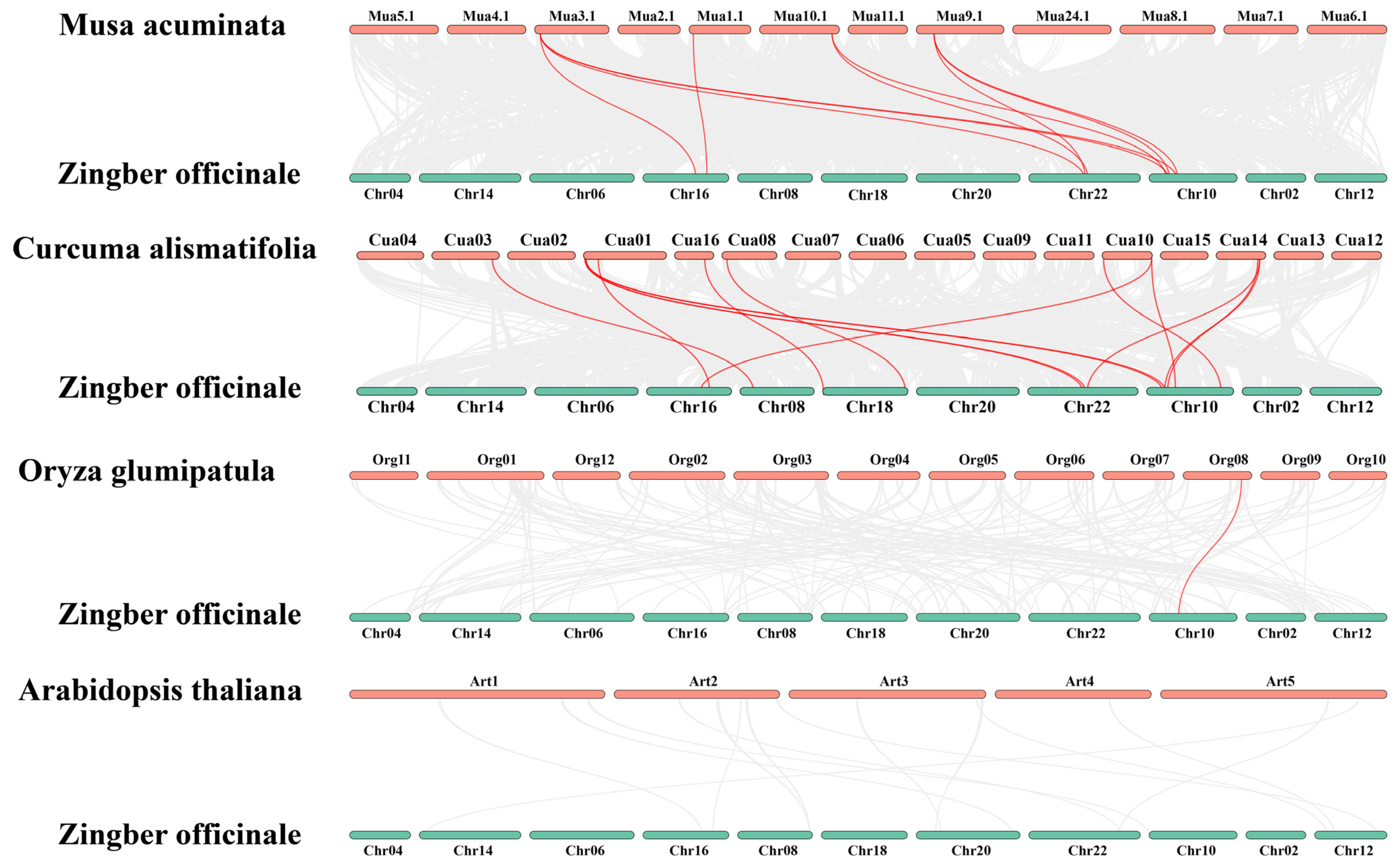 Plants 14 01660 g002