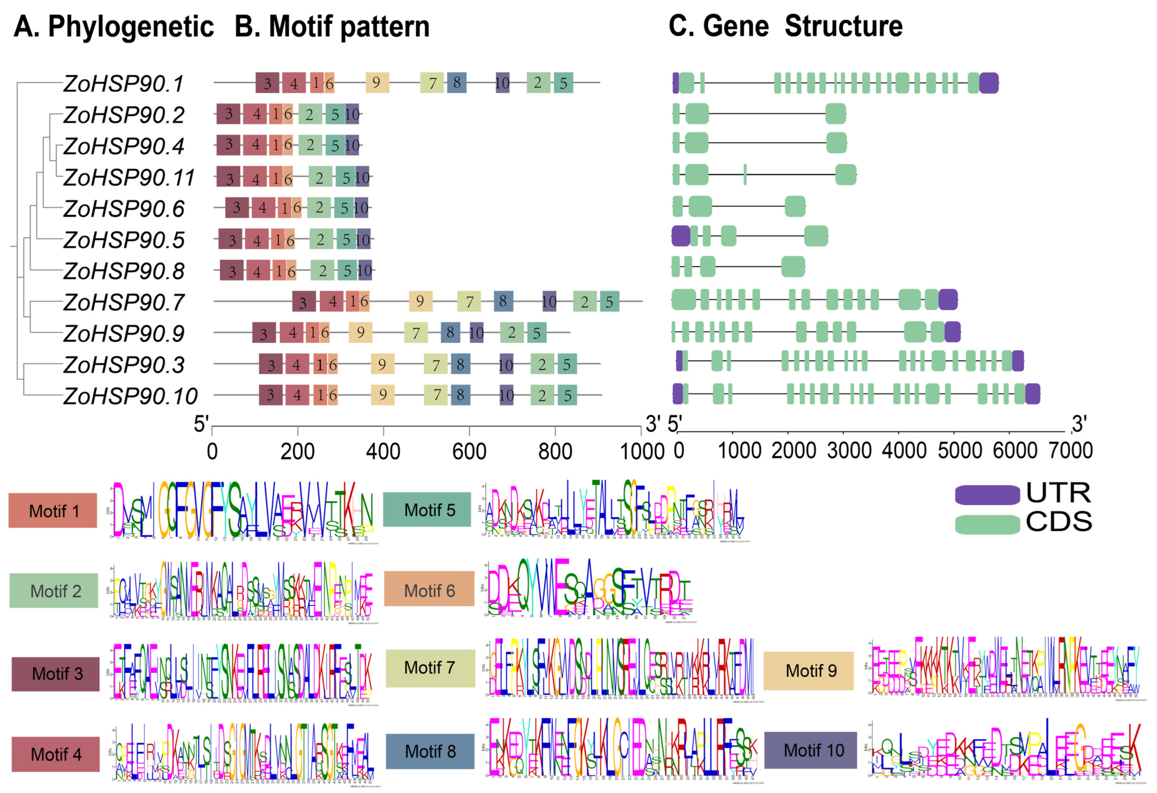 Plants 14 01660 g004