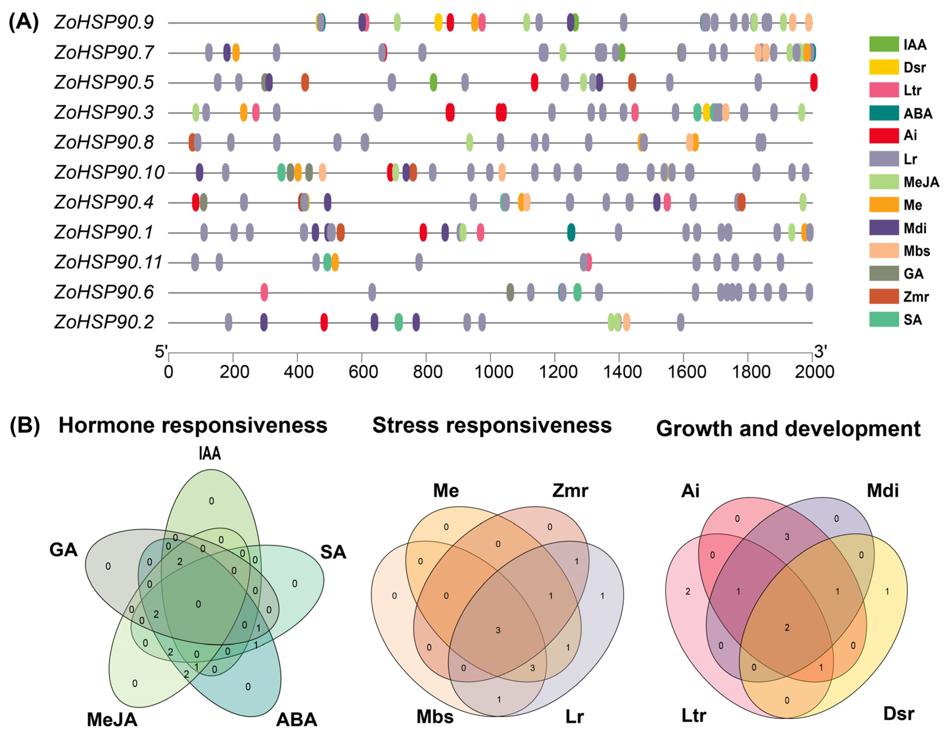 Plants 14 01660 g005