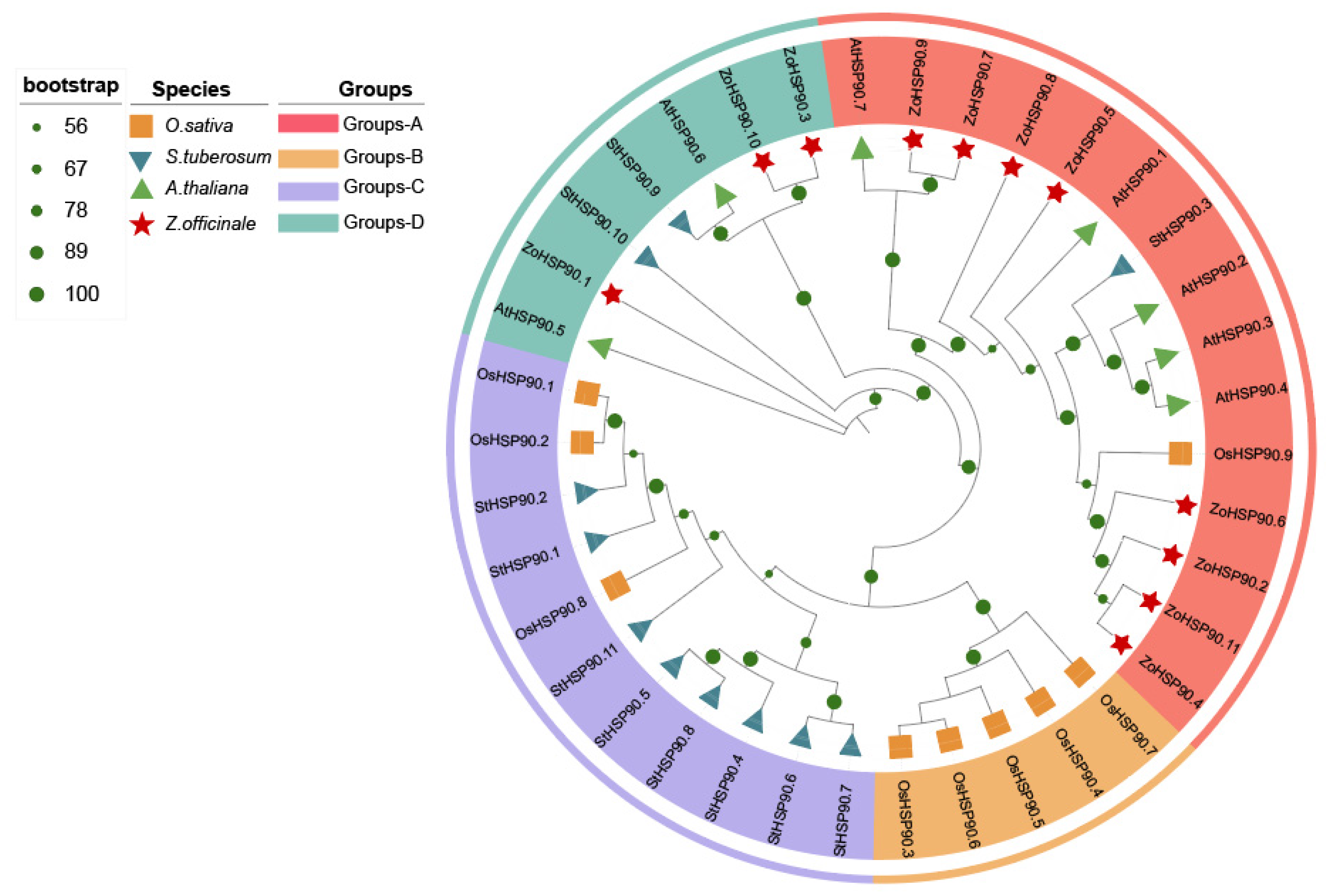Plants 14 01660 g010