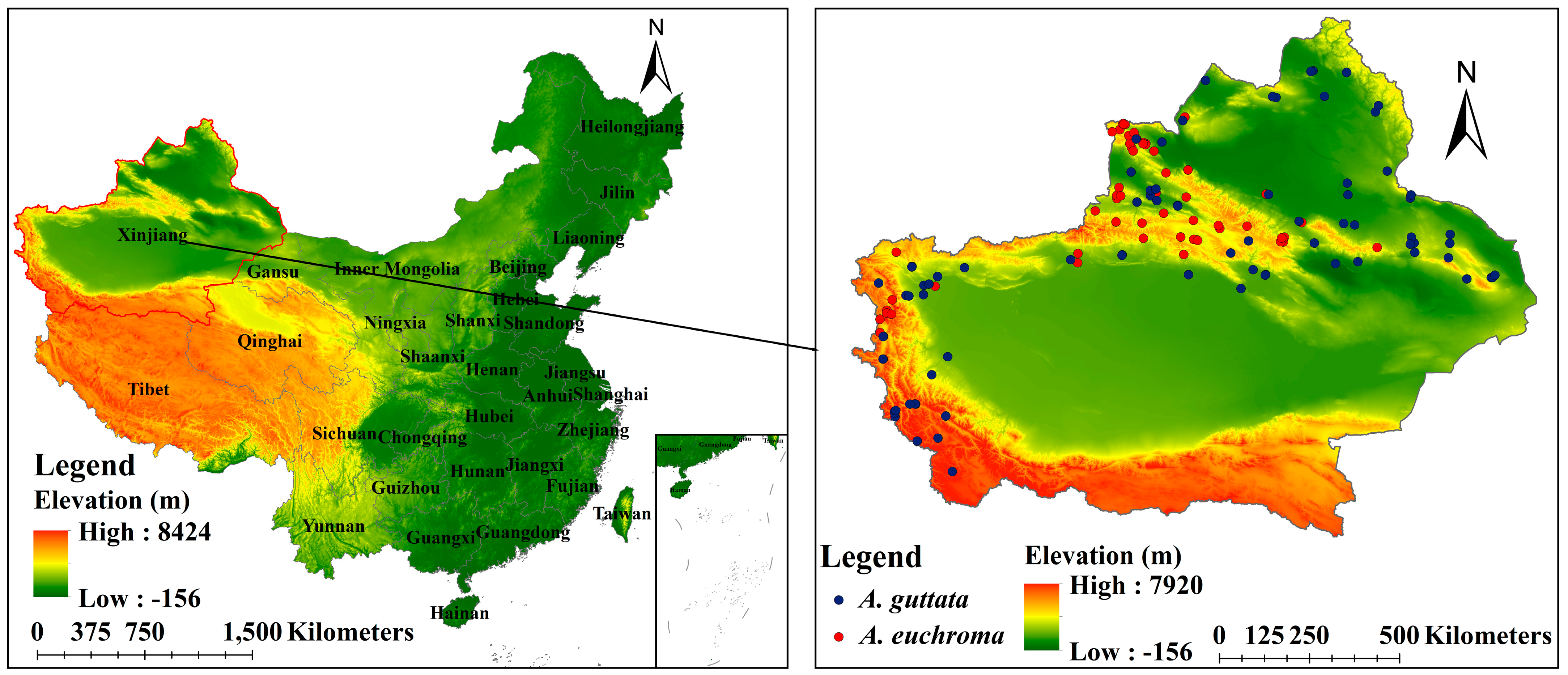 Plants 14 01669 g014