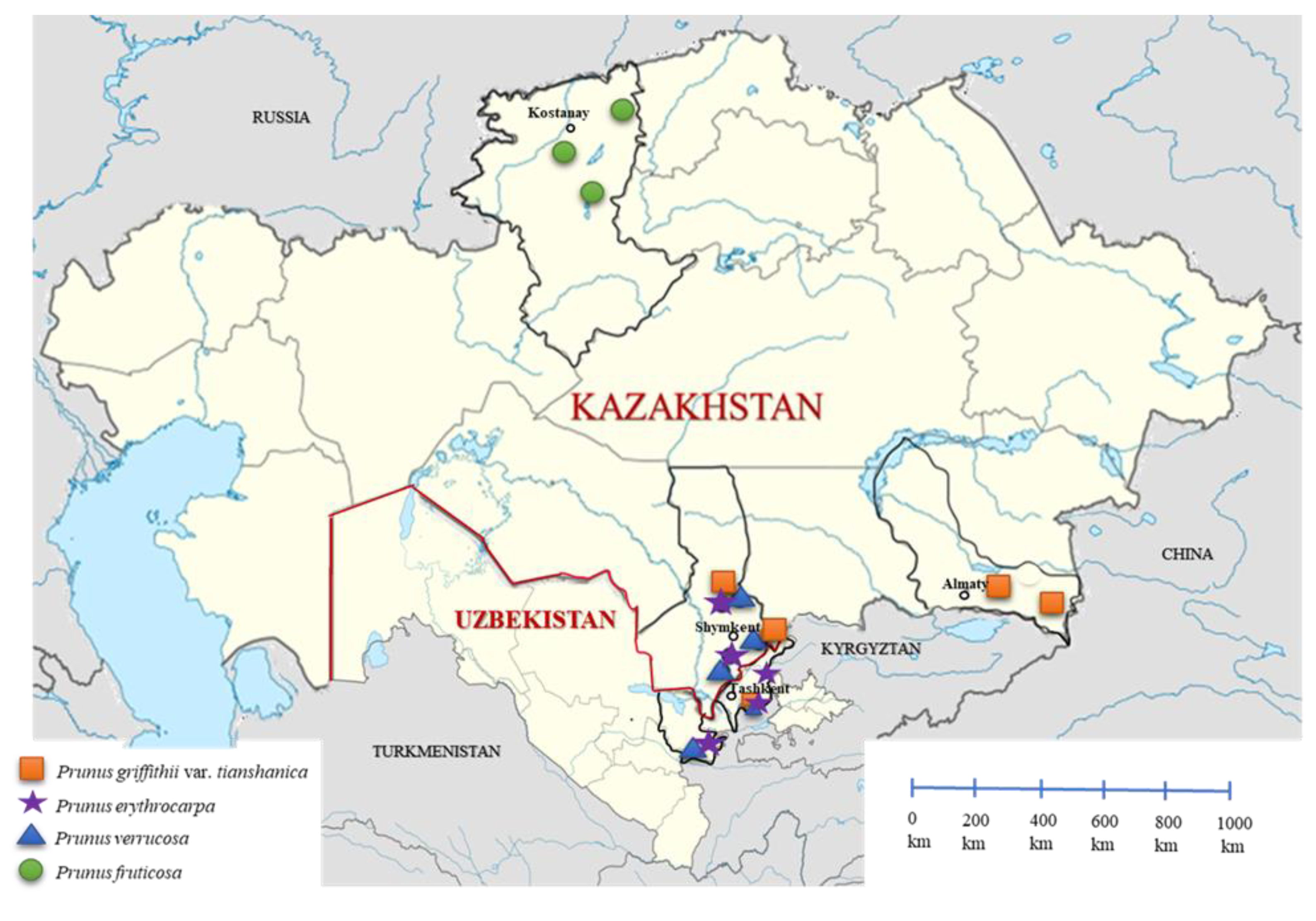 Plants 14 01676 g002