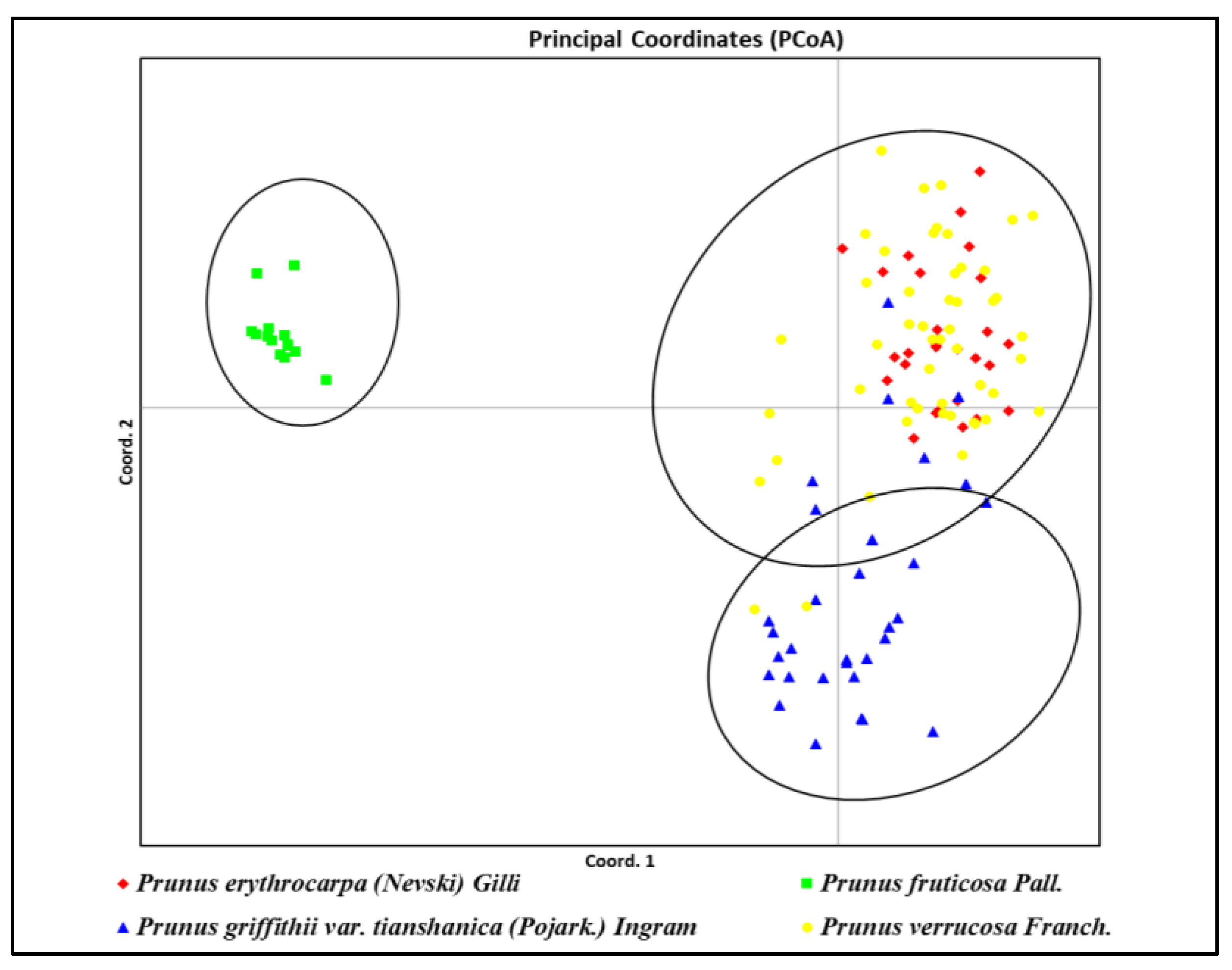 Plants 14 01676 g005