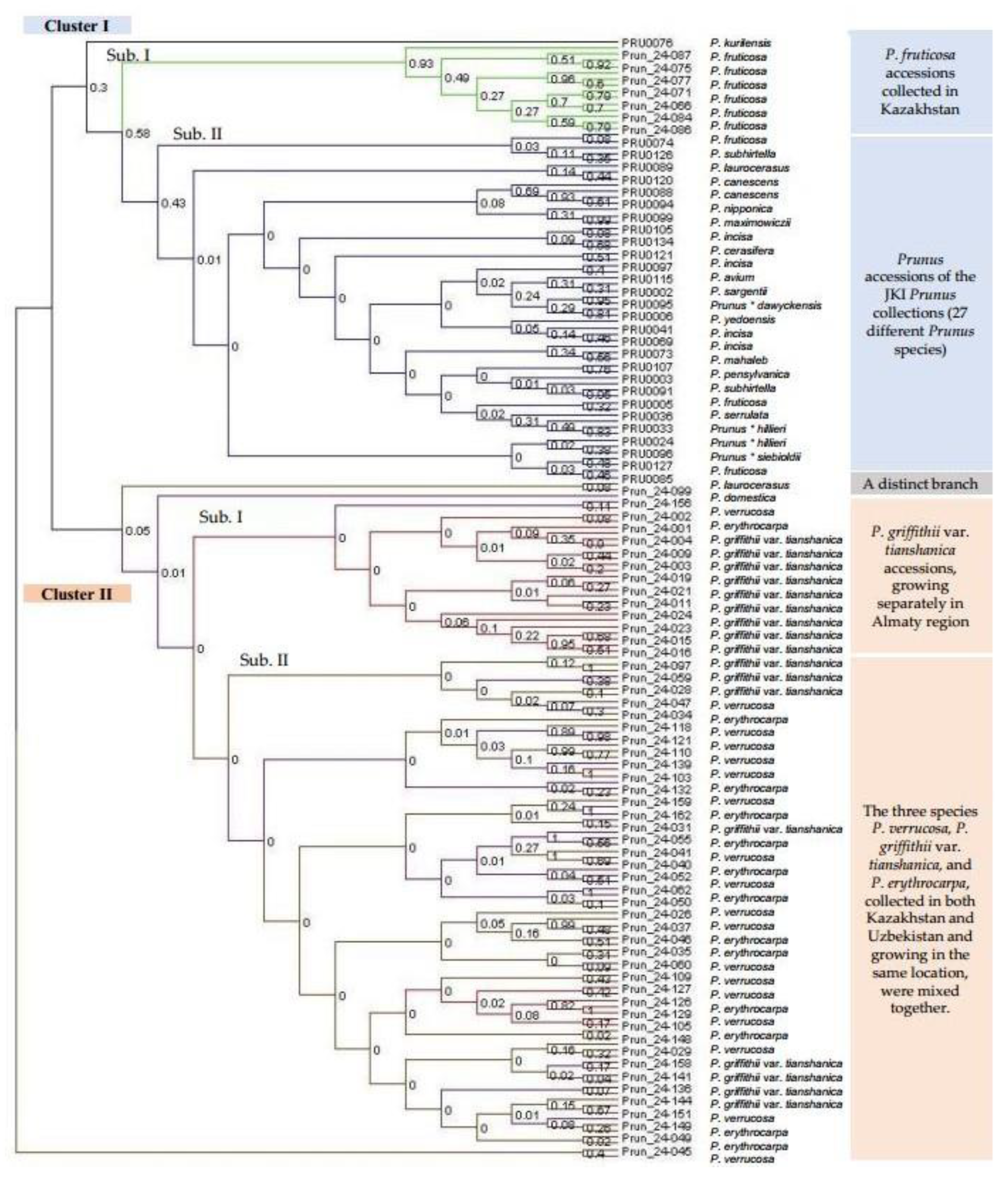 Plants 14 01676 g006