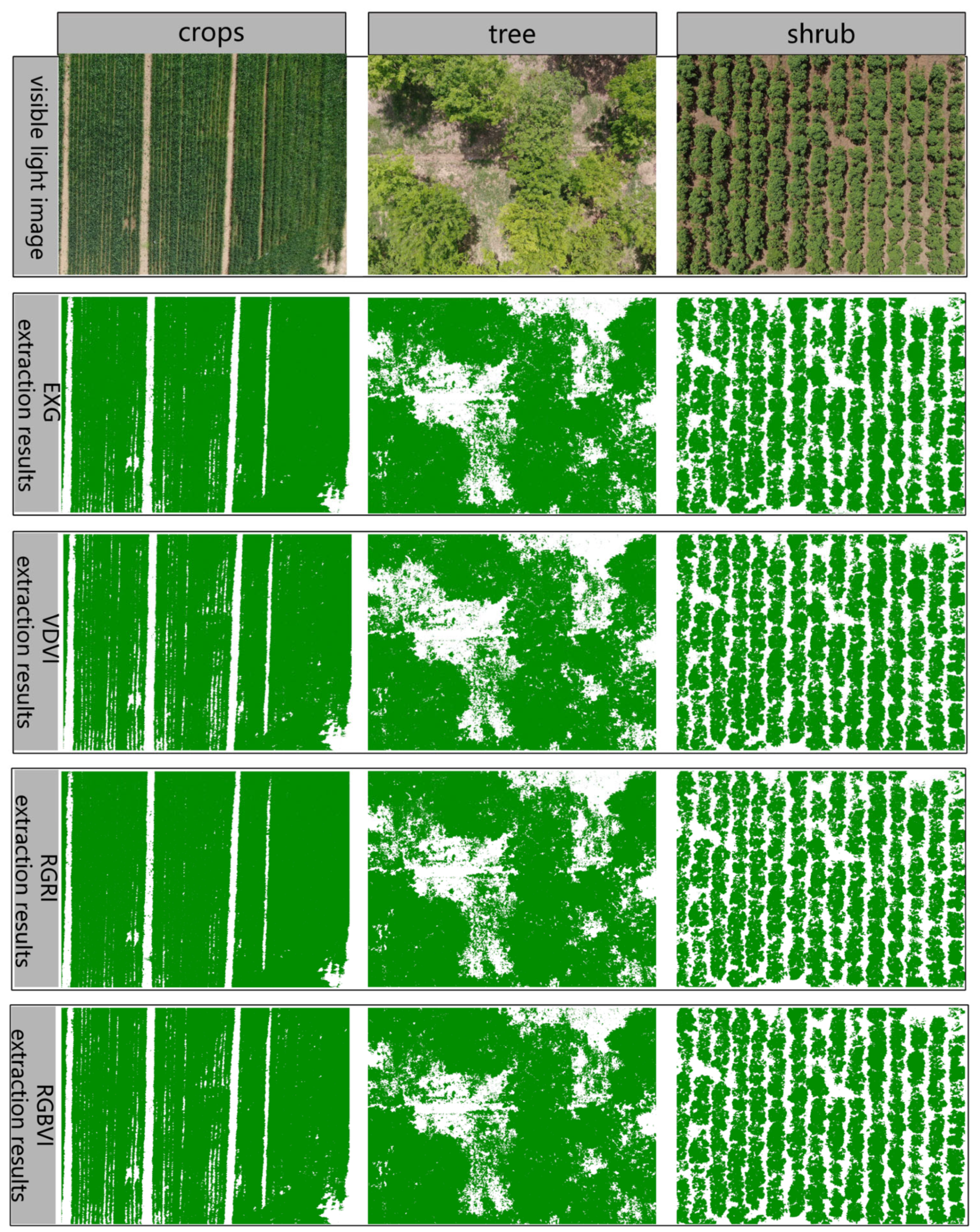 Plants 14 01677 g007