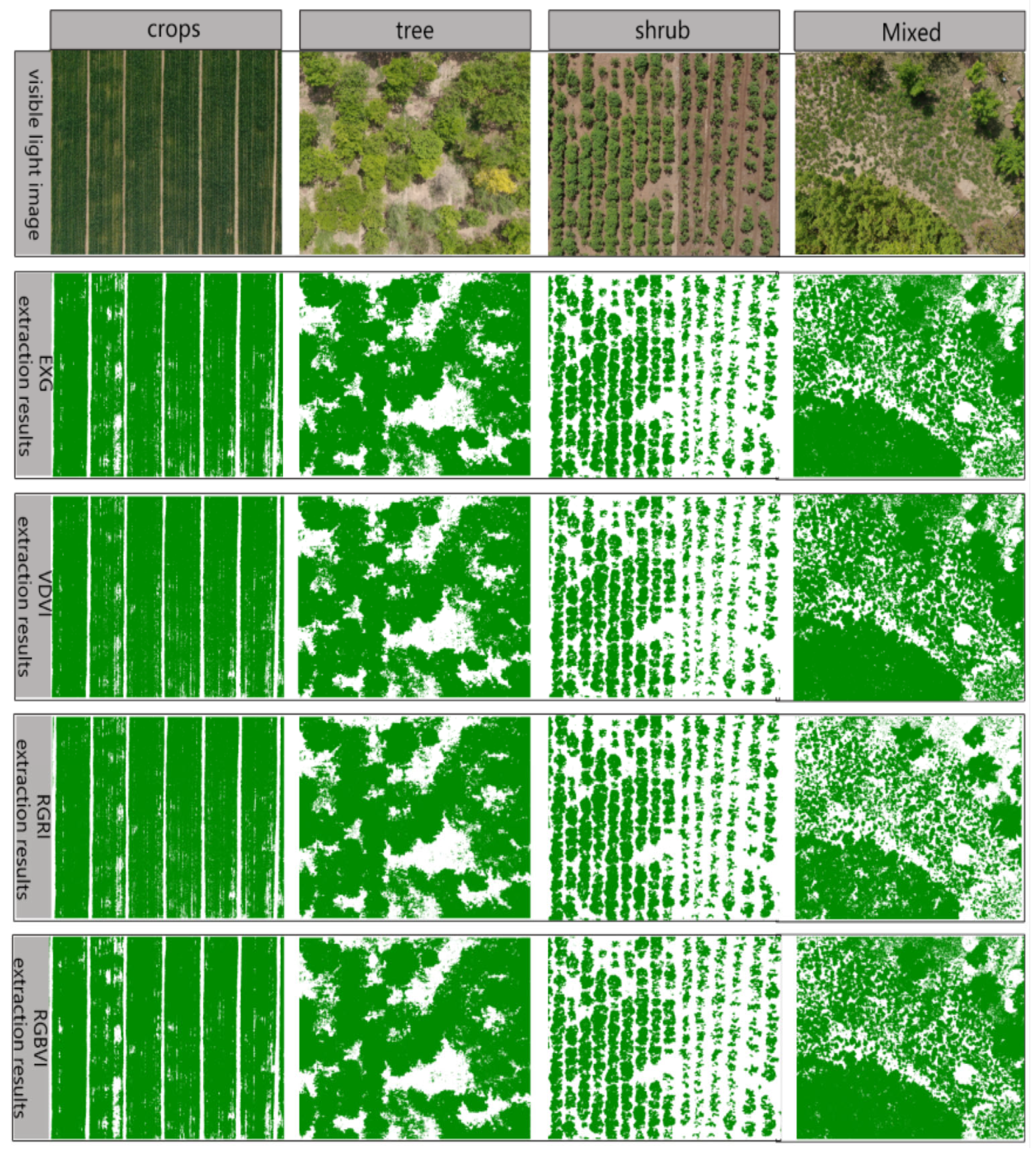 Plants 14 01677 g008