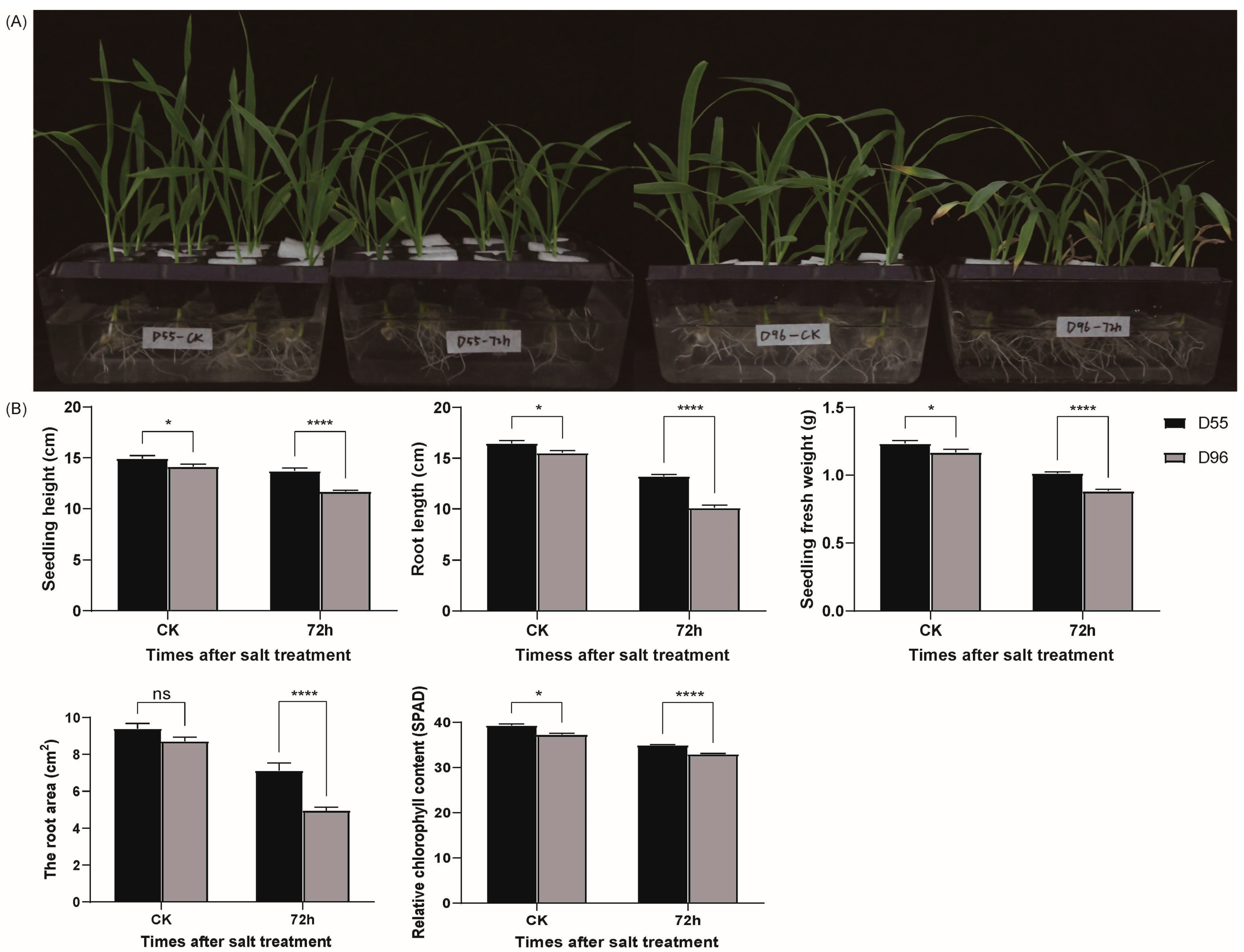 Plants 14 01687 g001