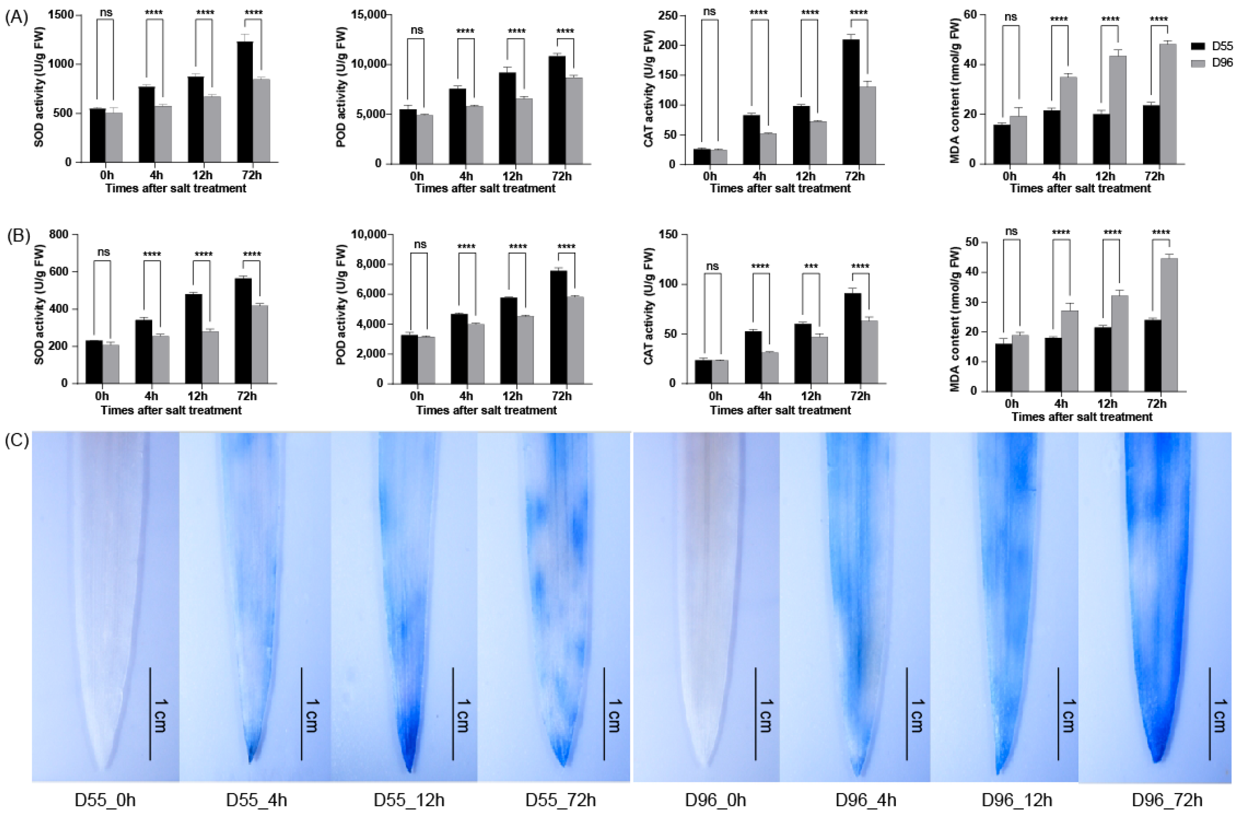 Plants 14 01687 g002