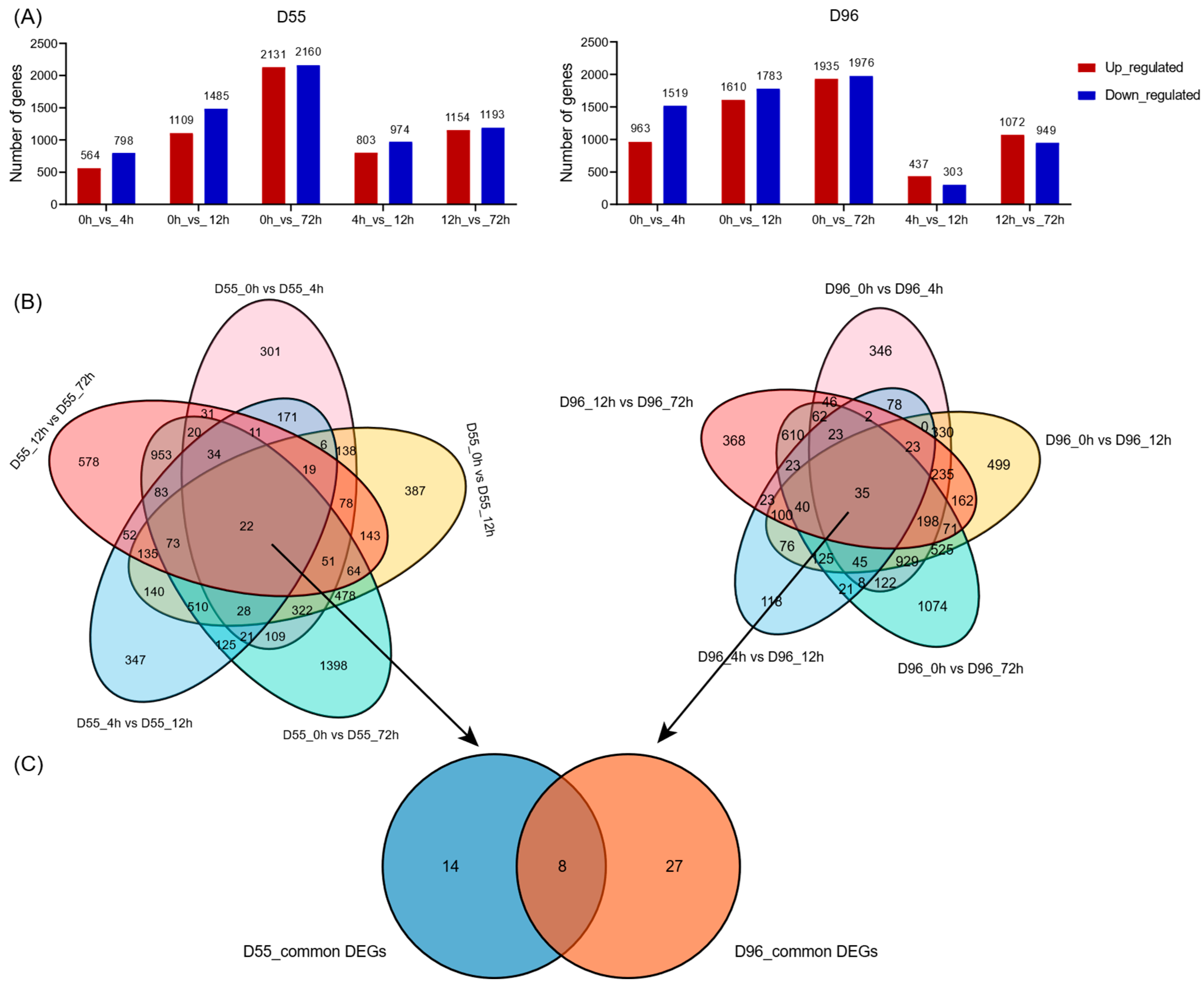 Plants 14 01687 g003