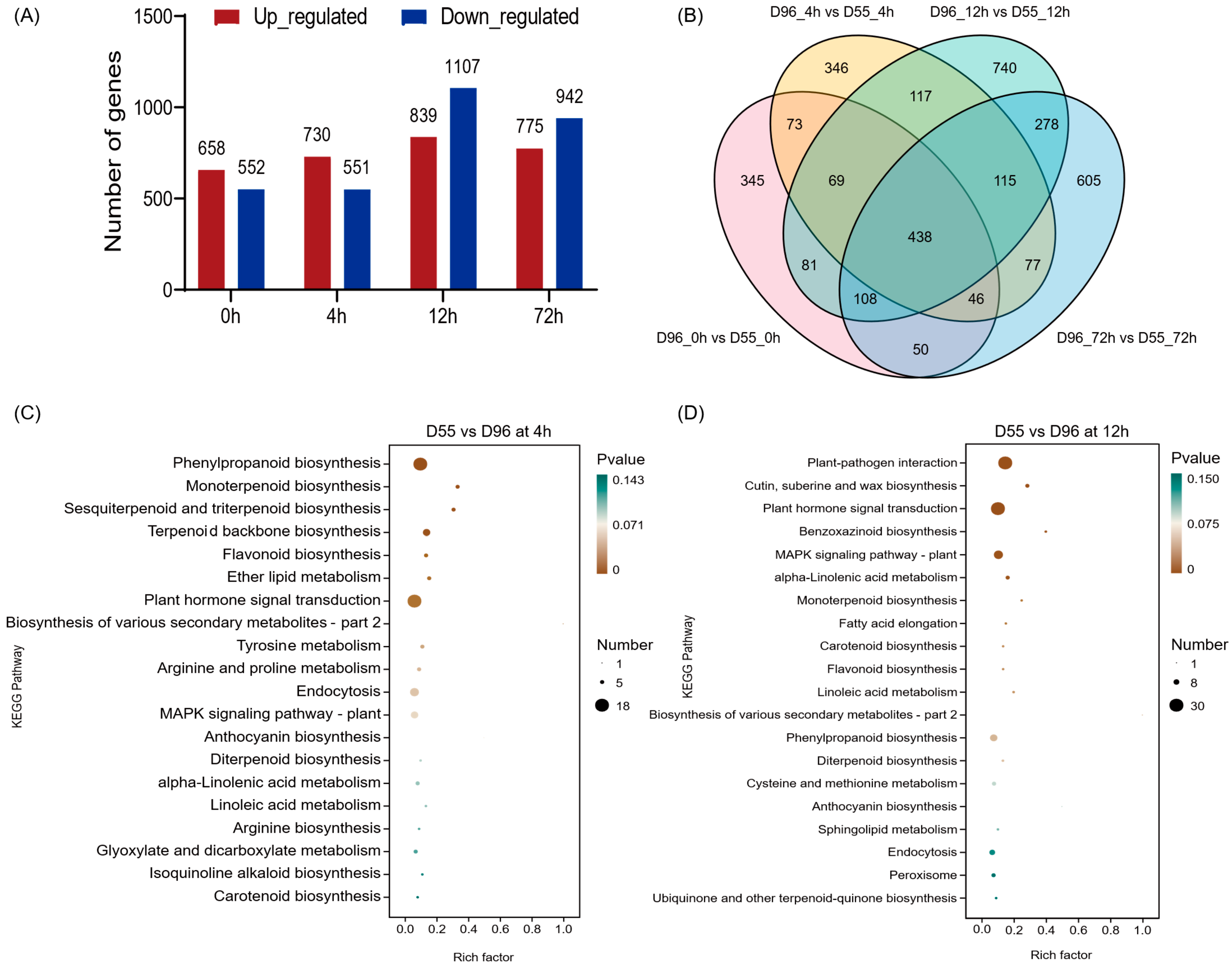 Plants 14 01687 g004