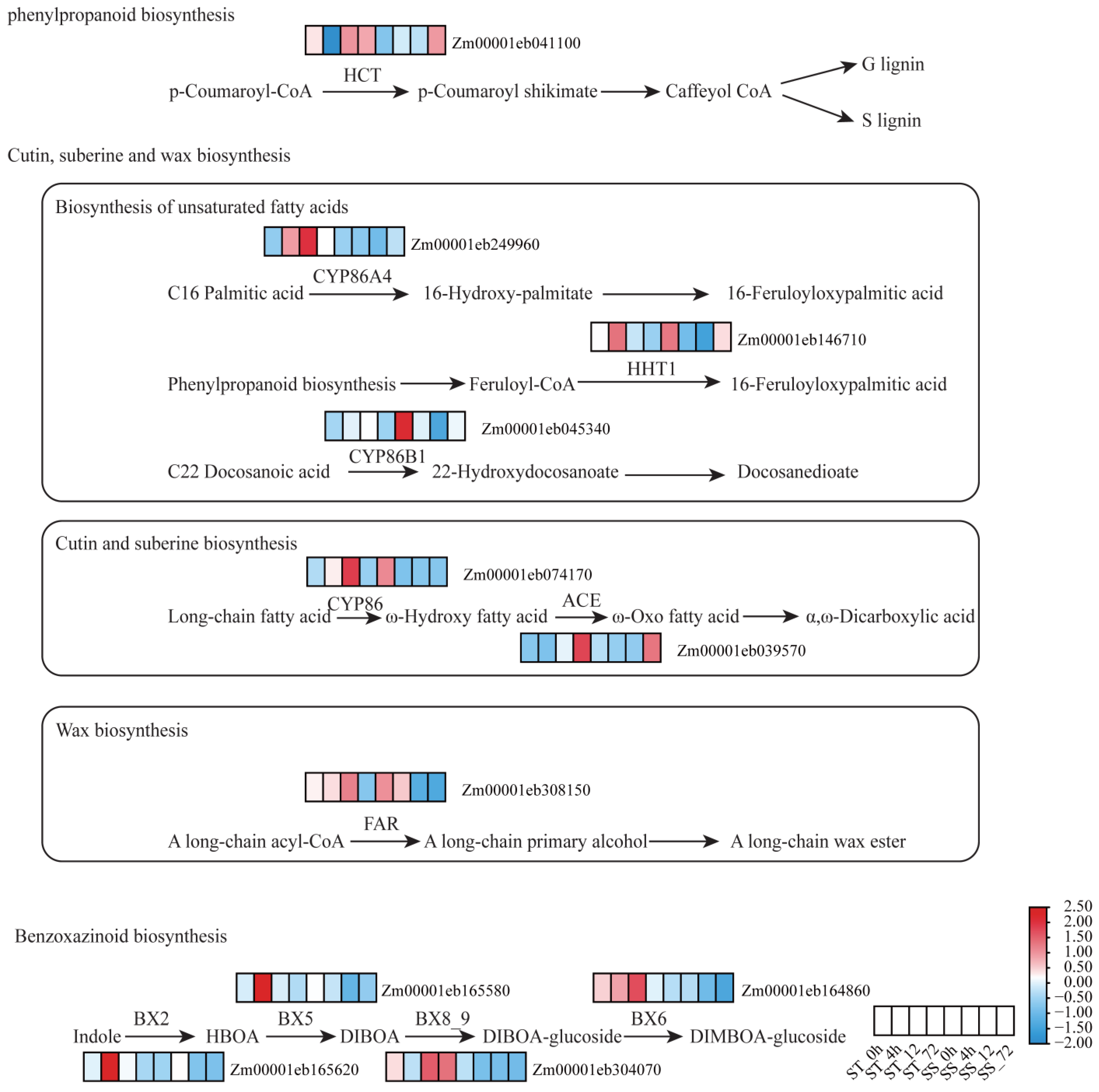 Plants 14 01687 g005