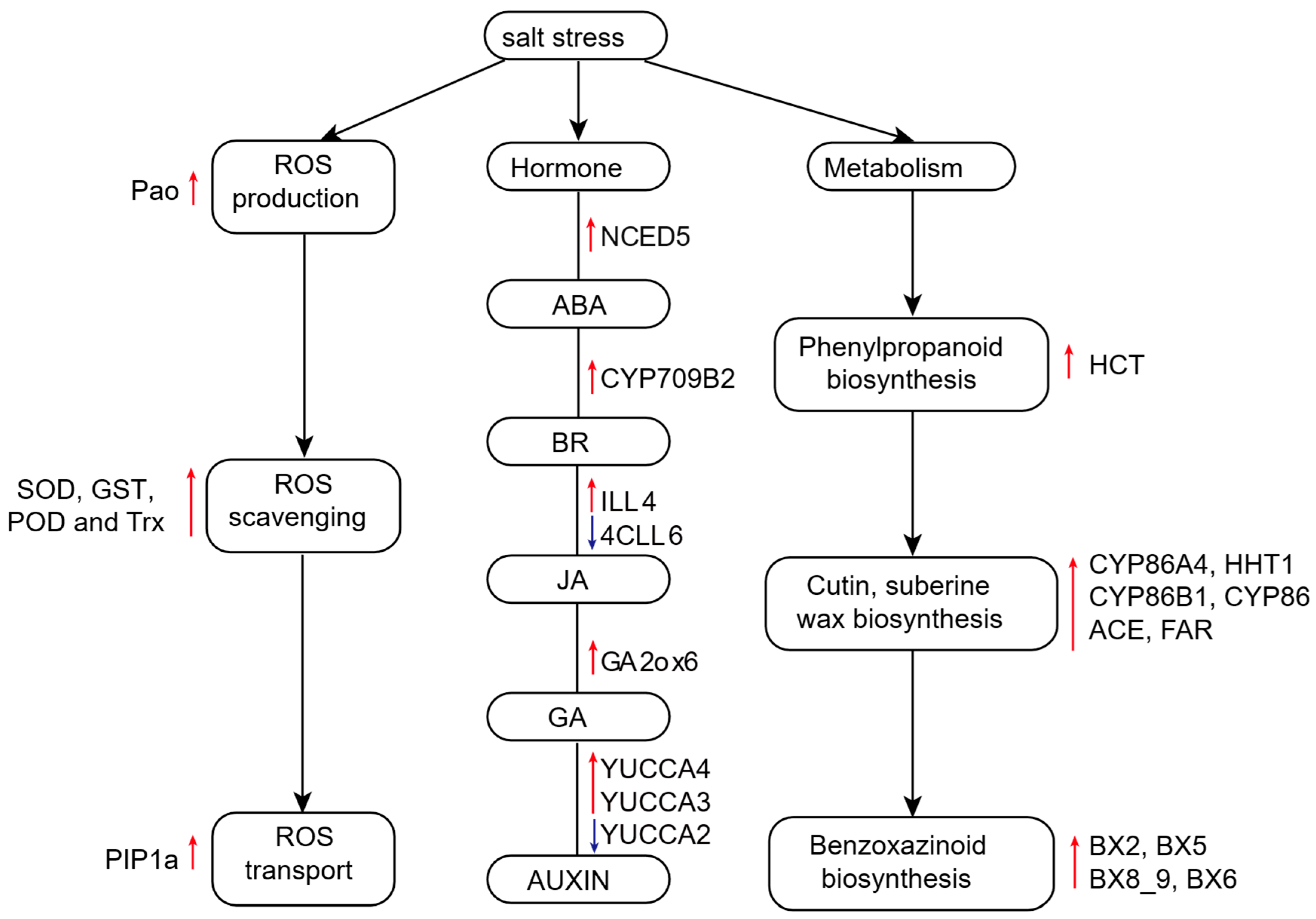 Plants 14 01687 g008