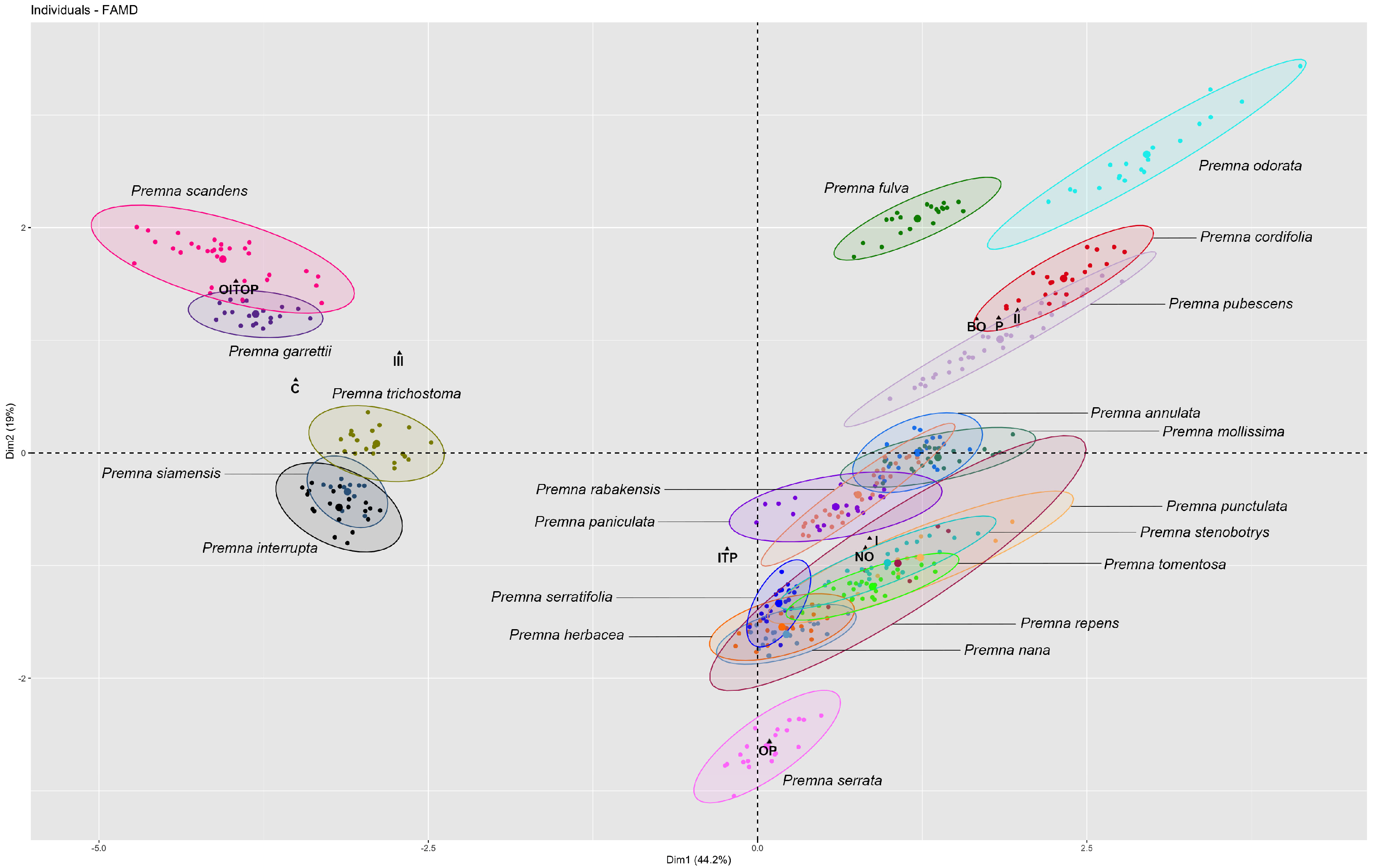 Plants 14 01706 g001