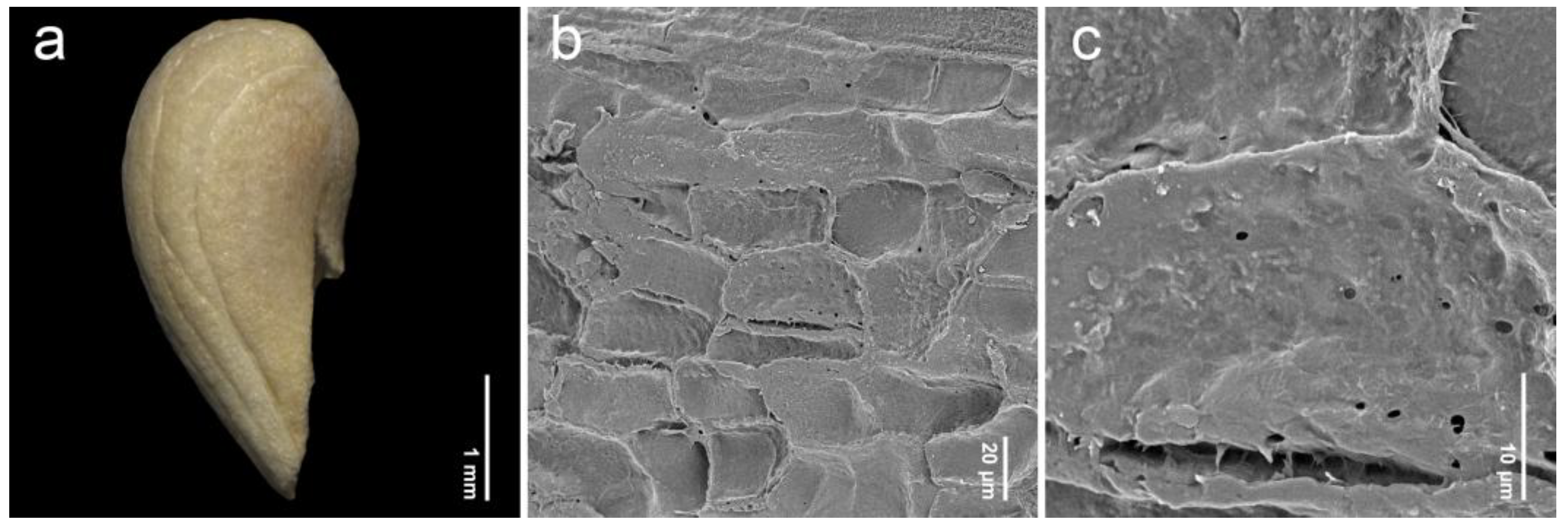 Plants 14 01706 g008