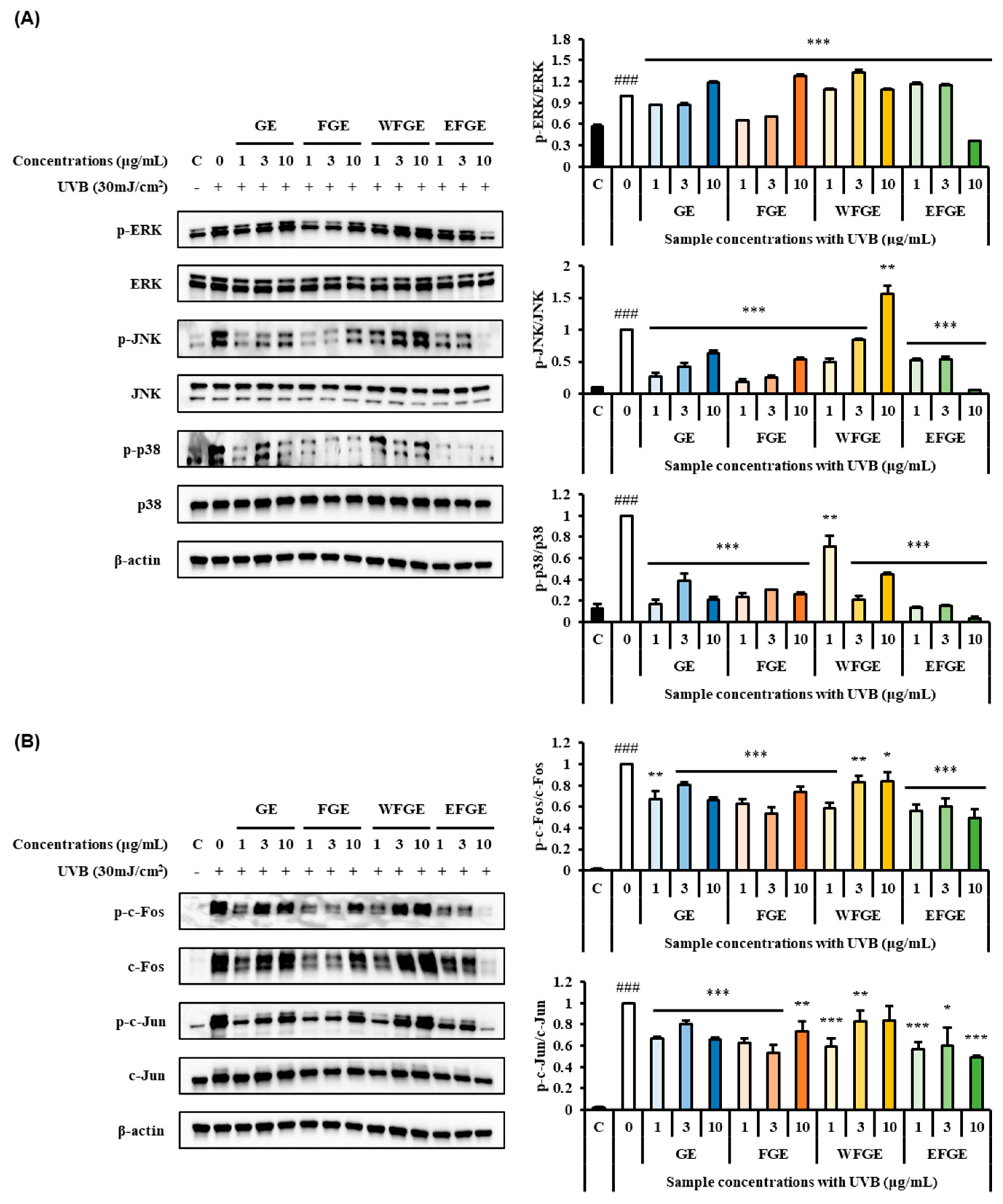 Plants 14 01712 g004