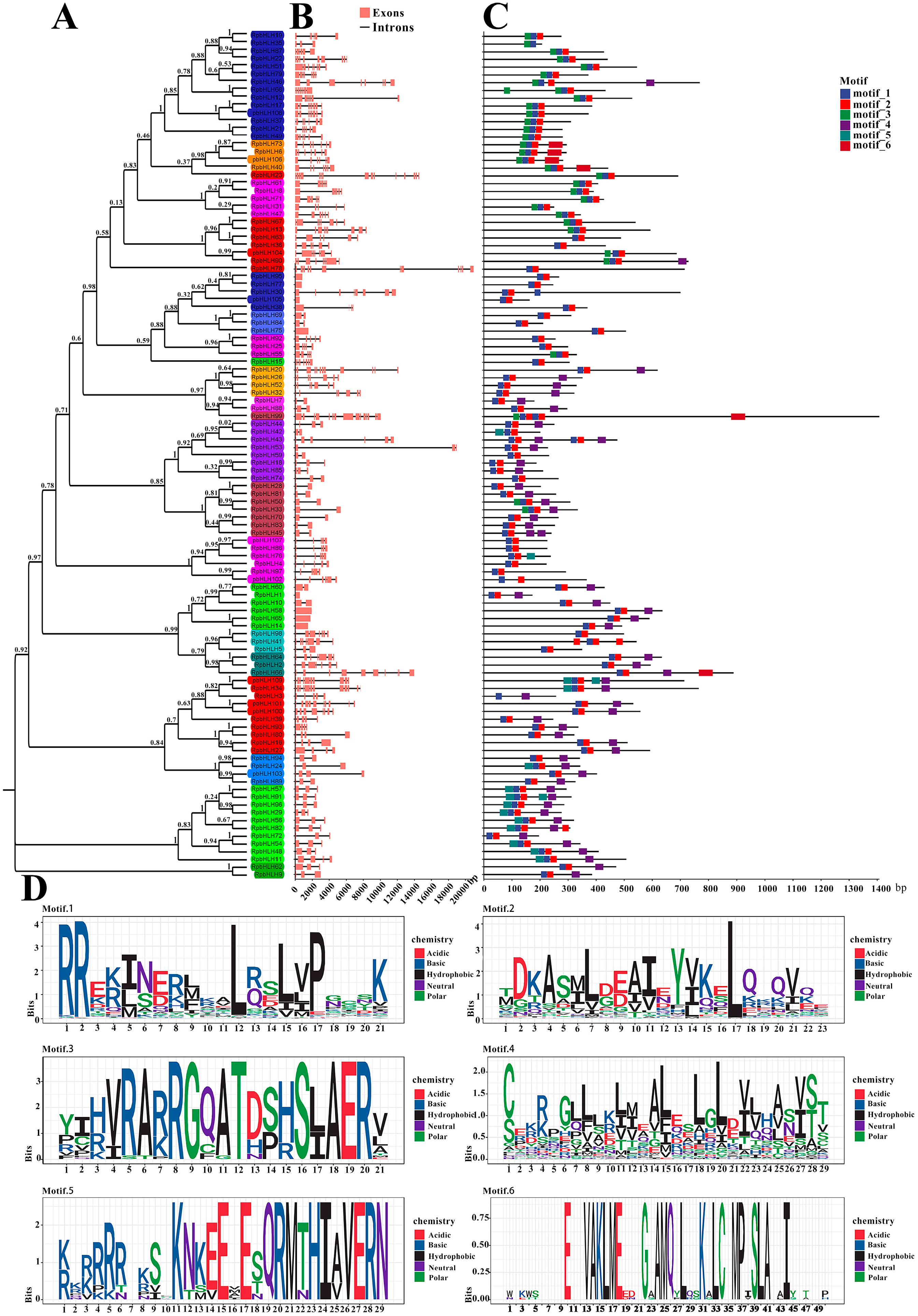 Plants 14 01713 g003