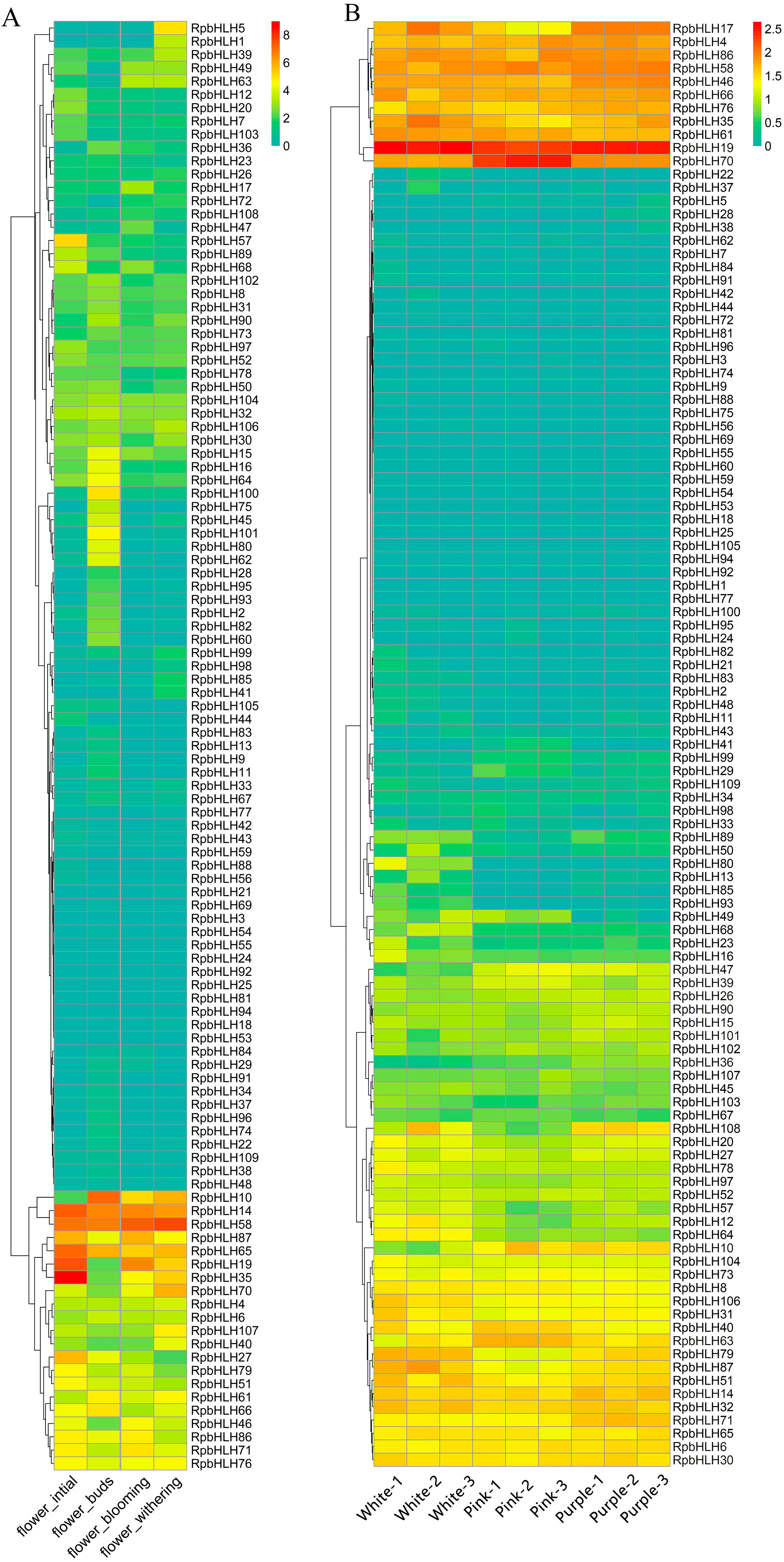 Plants 14 01713 g007