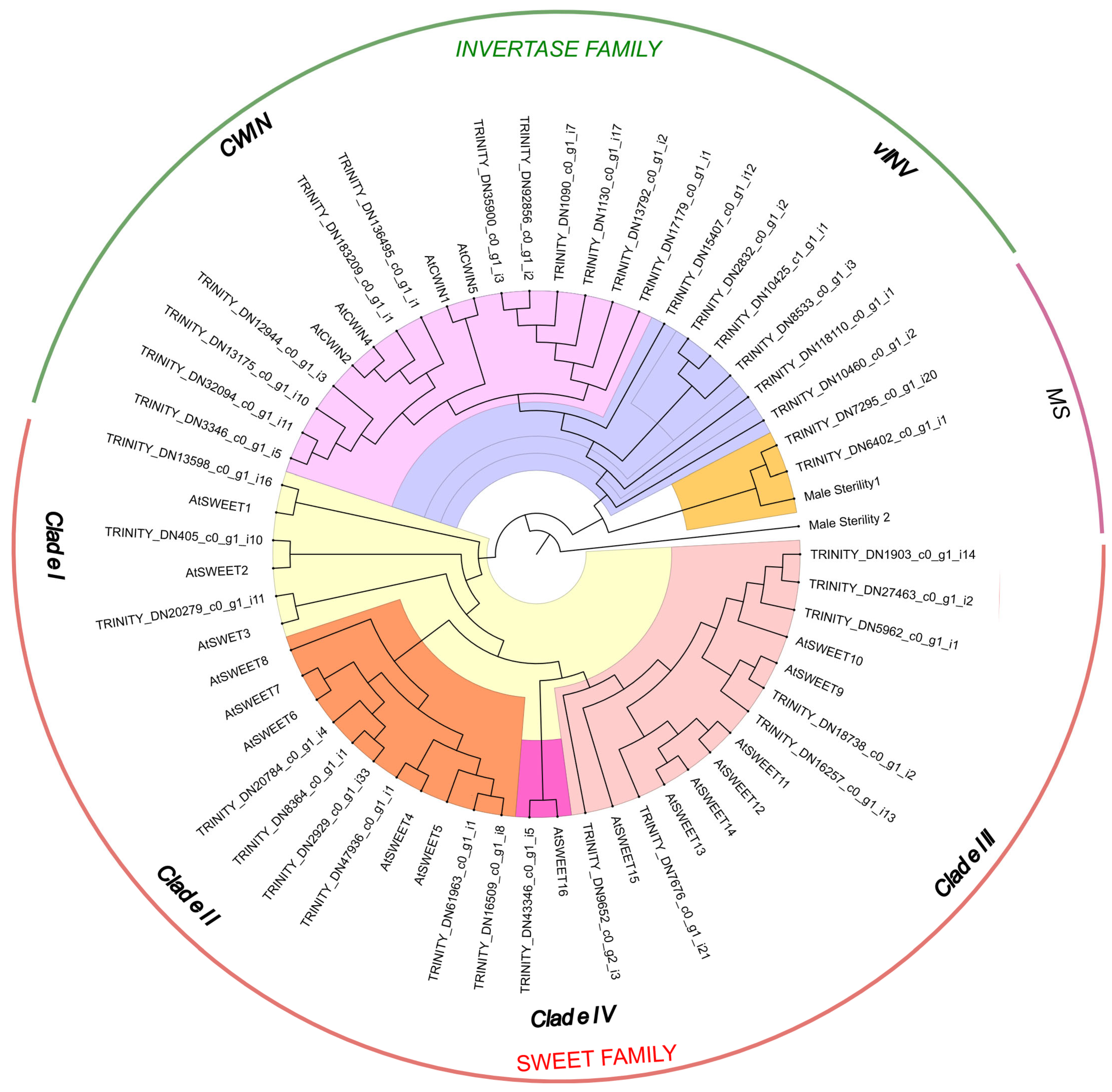 Plants 14 01718 g001