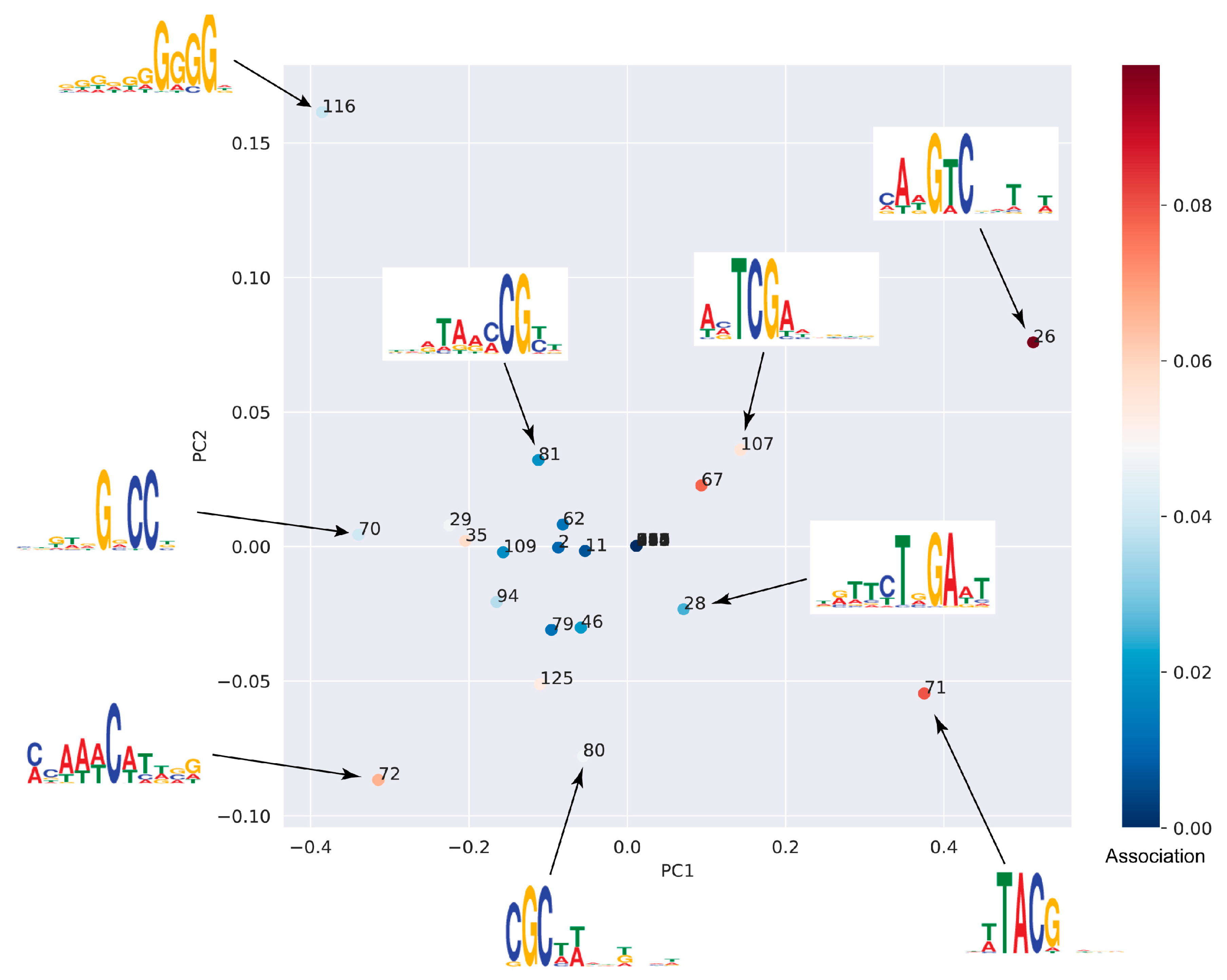 Plants 14 01724 g002