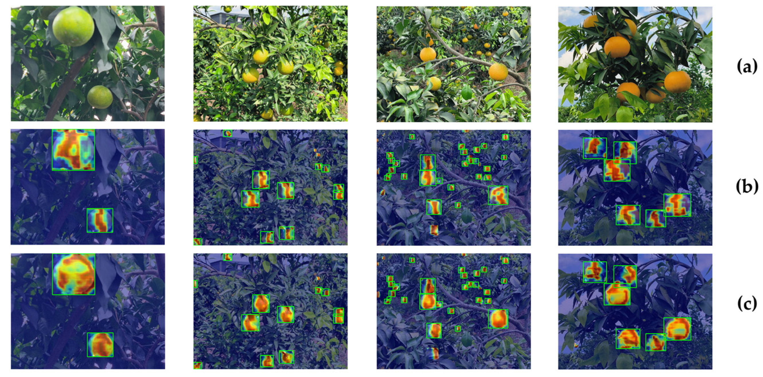 Plants 14 01729 g002