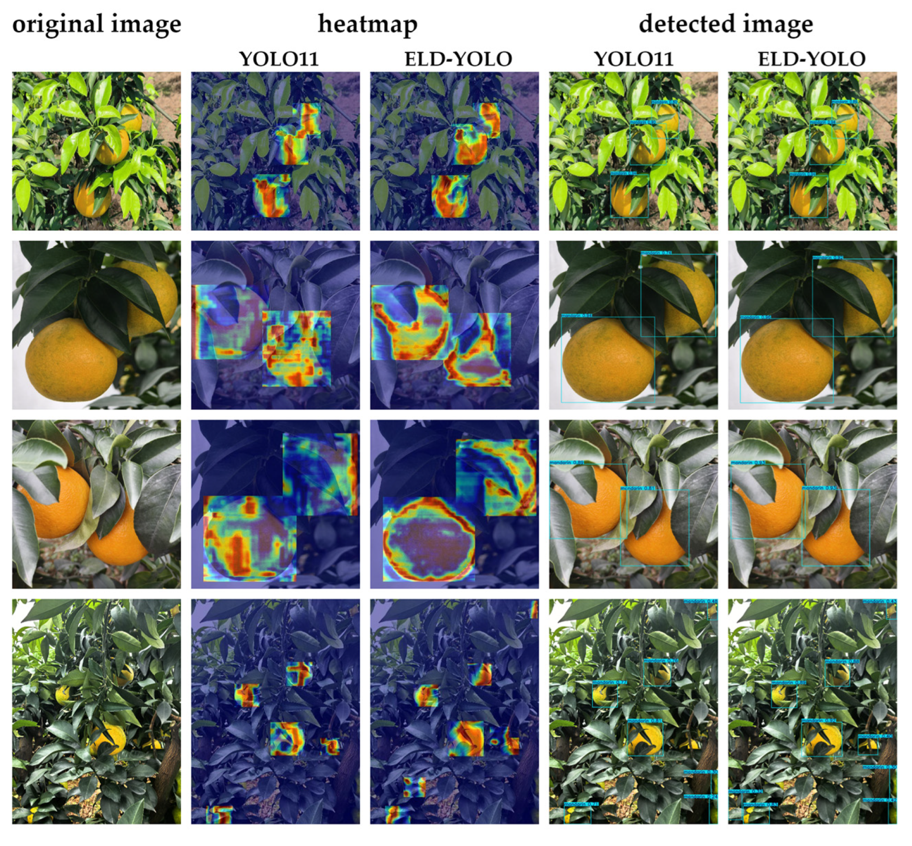 Plants 14 01729 g004