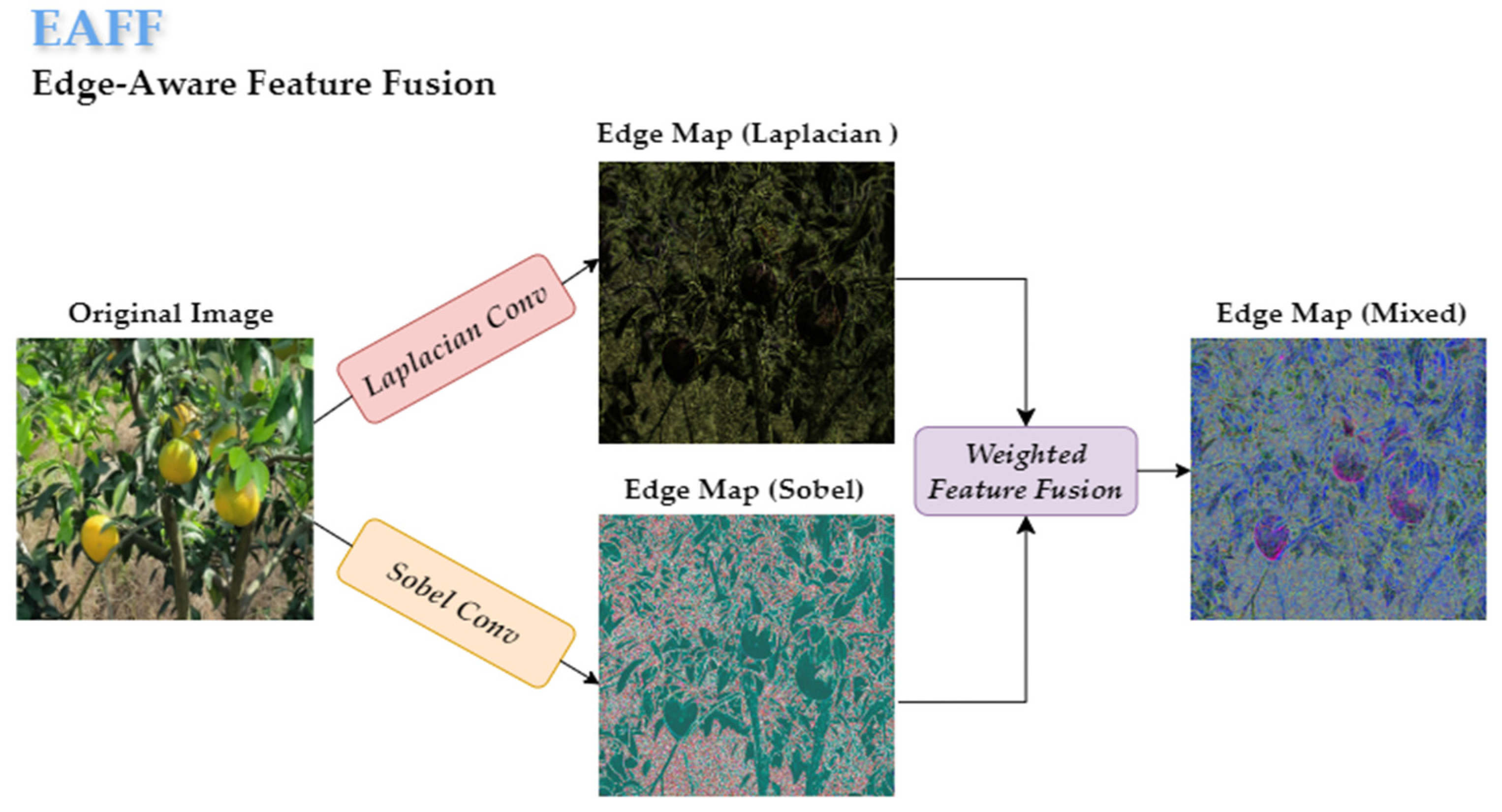 Plants 14 01729 g010