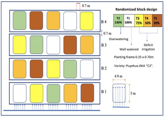 Plants 14 01734 g0a4