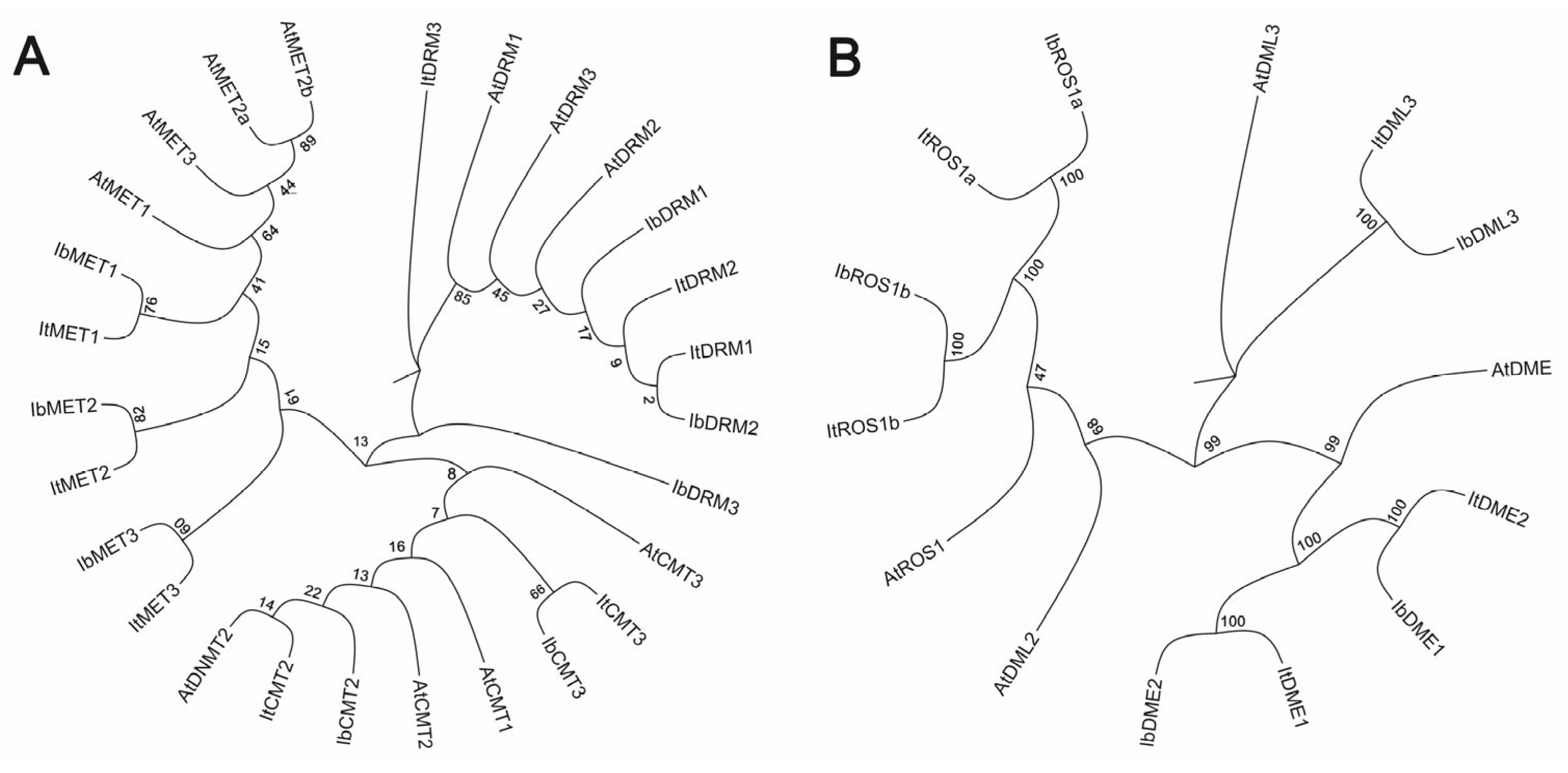 Plants 14 01735 g001