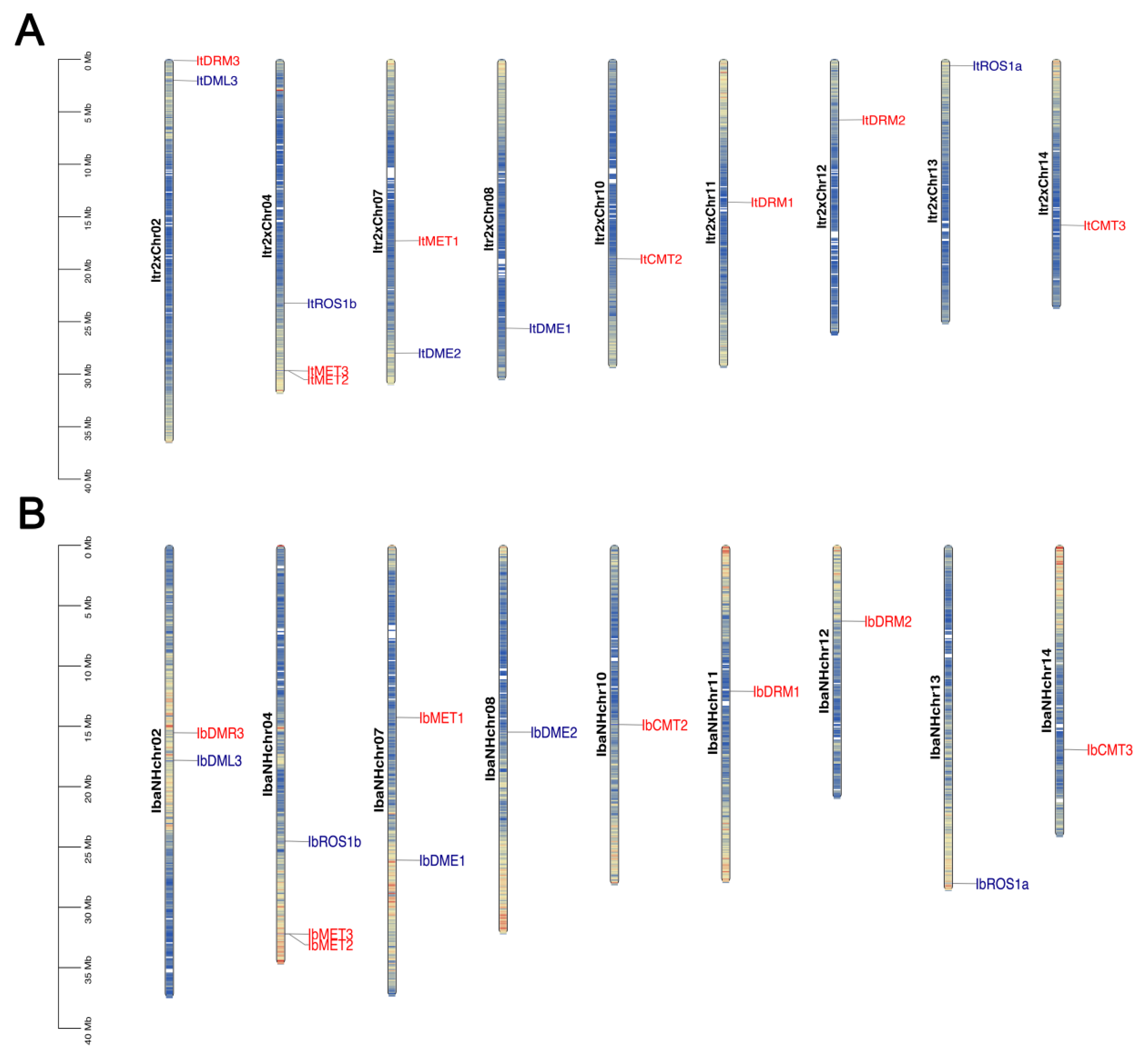 Plants 14 01735 g002