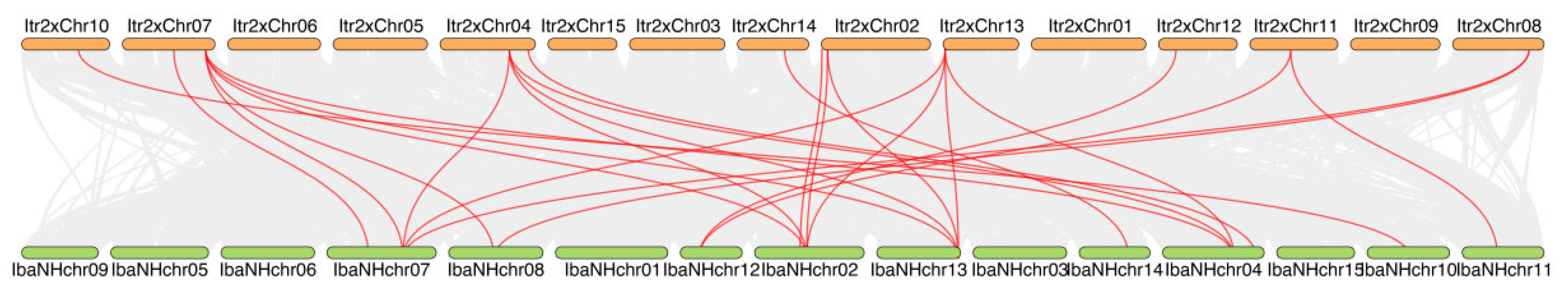 Plants 14 01735 g003