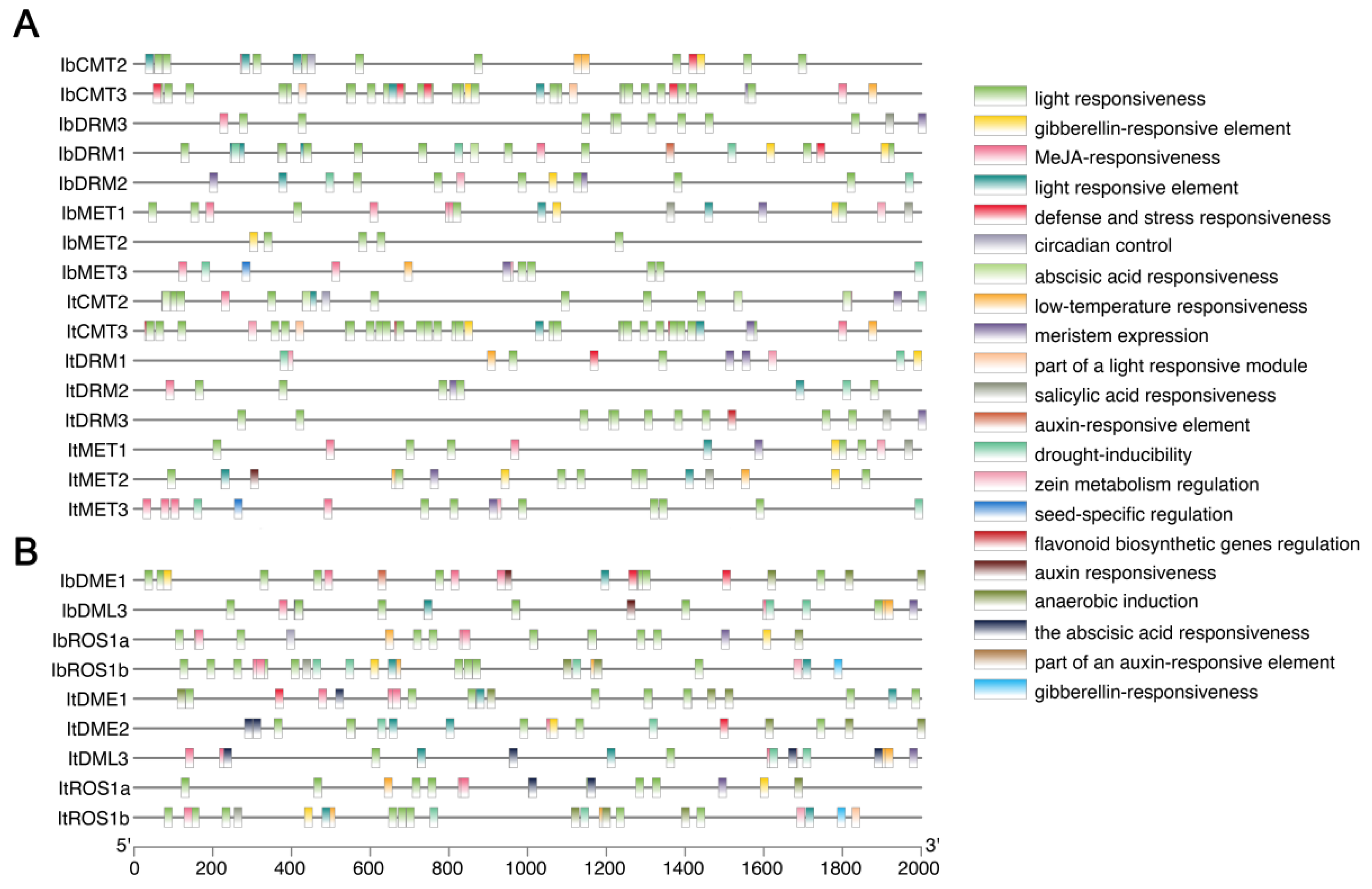 Plants 14 01735 g005