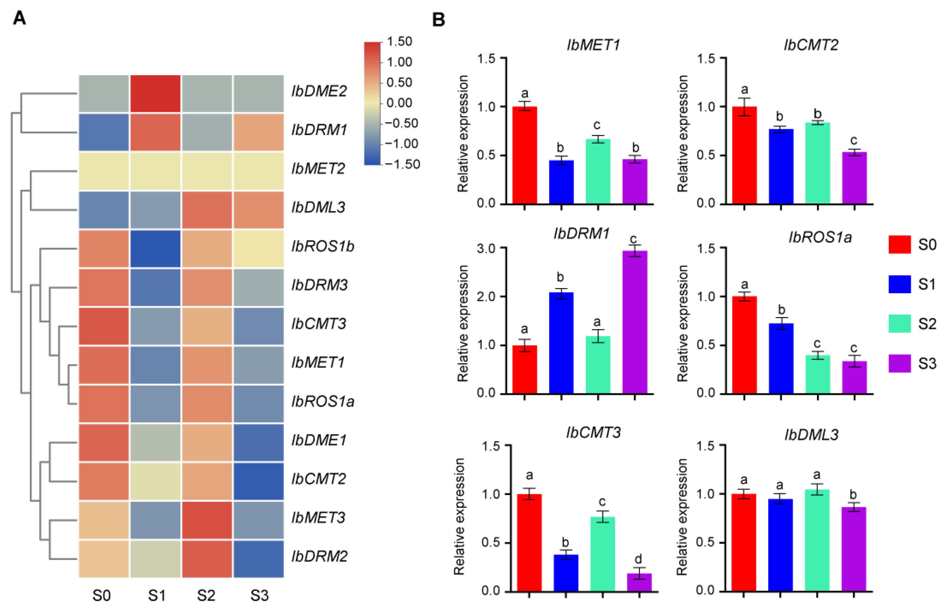 Plants 14 01735 g006