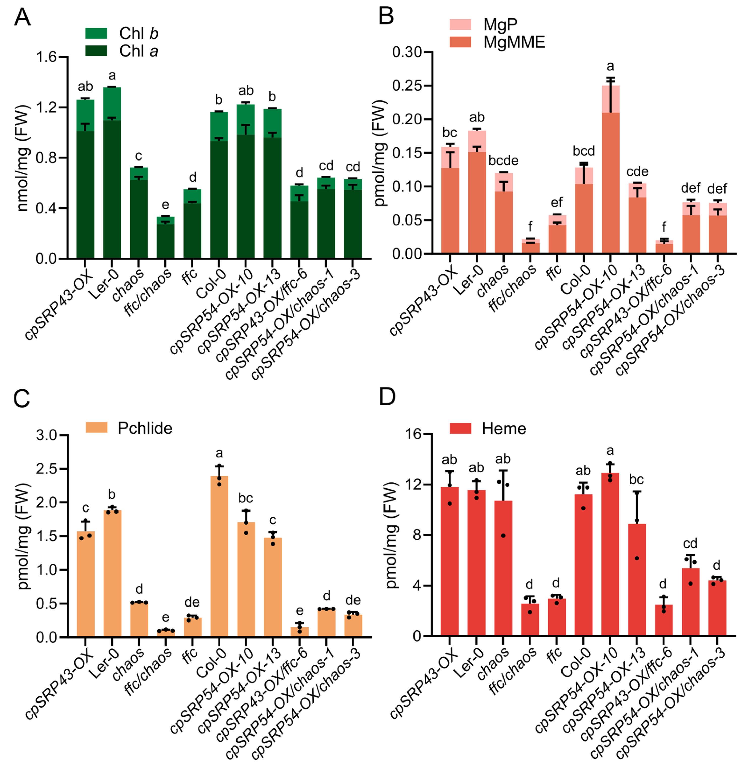 Plants 14 01745 g003