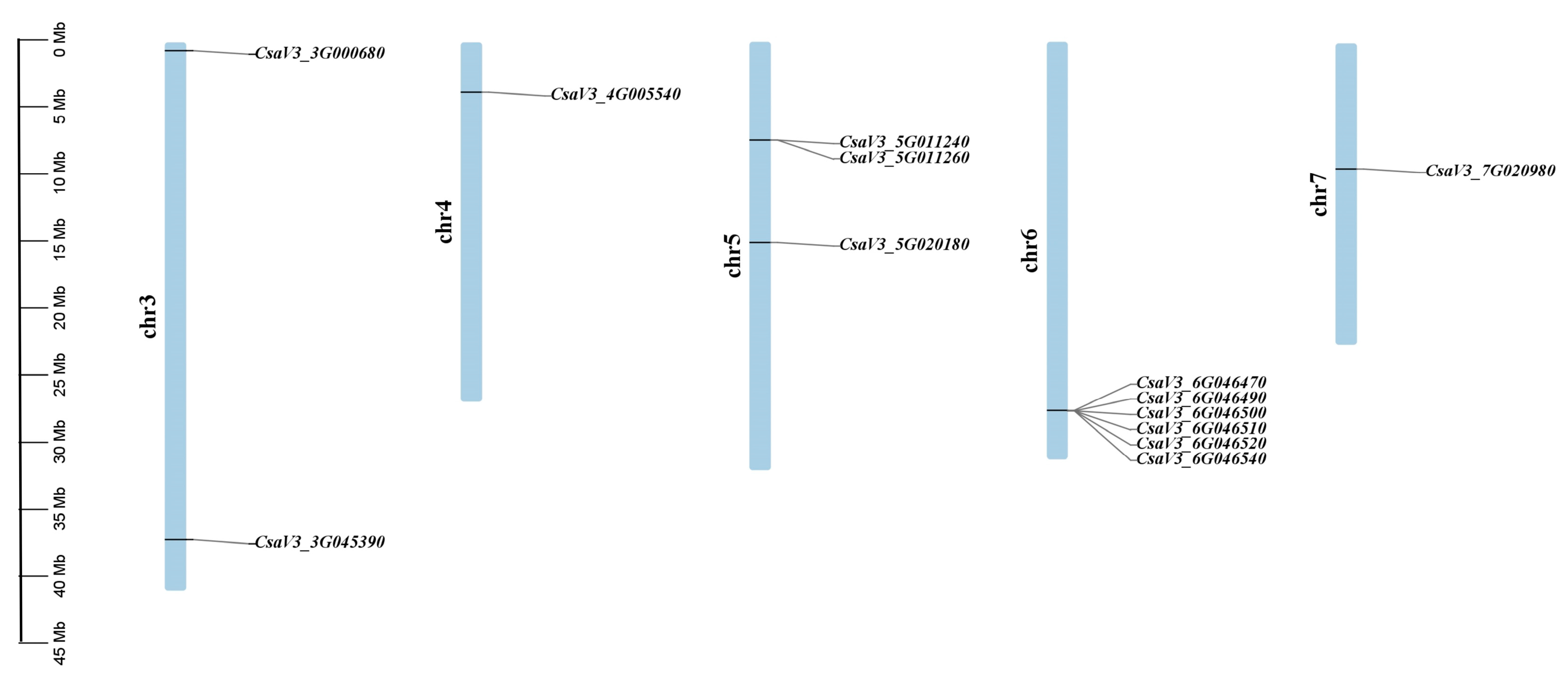 Plants 14 01748 g001