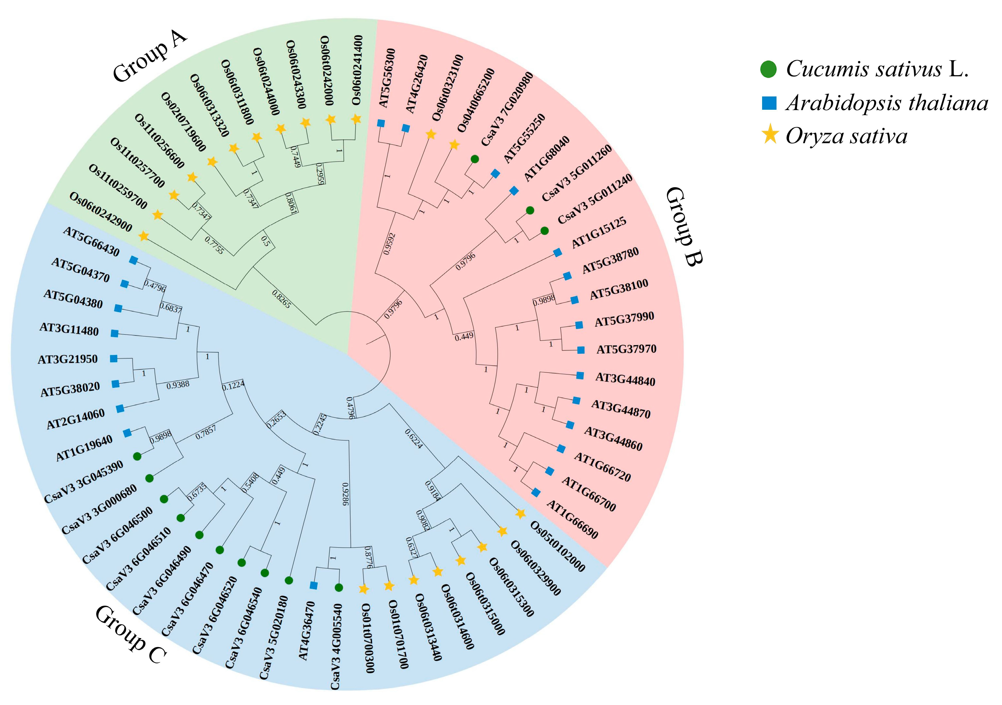 Plants 14 01748 g003