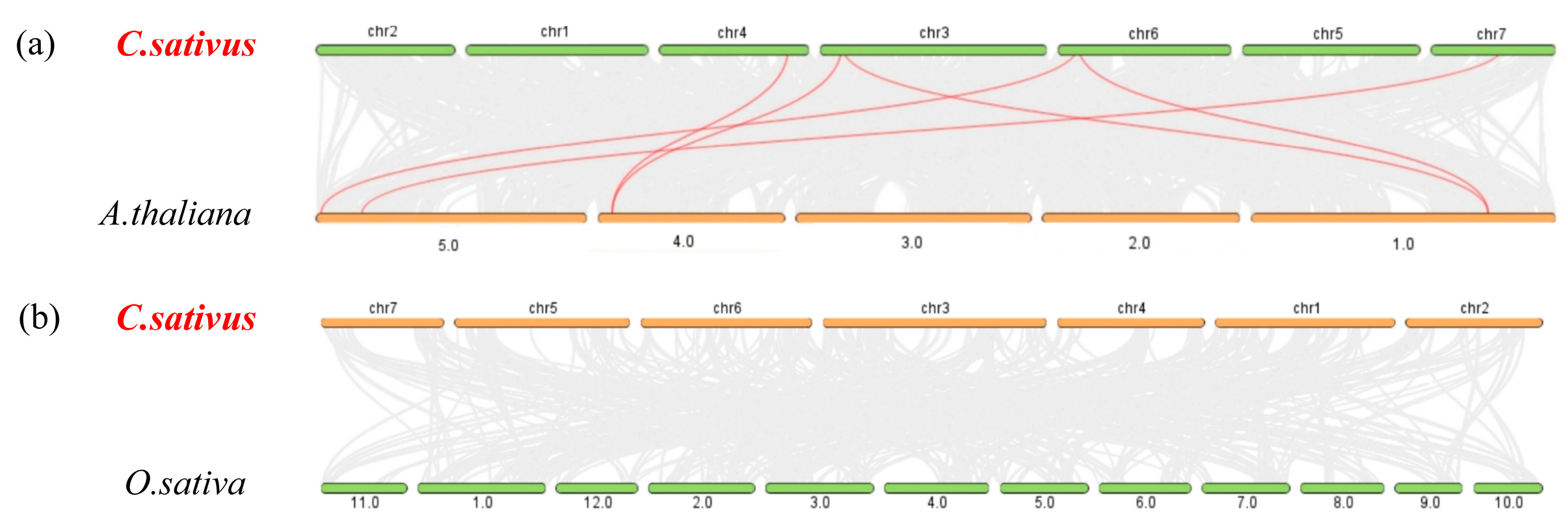 Plants 14 01748 g004
