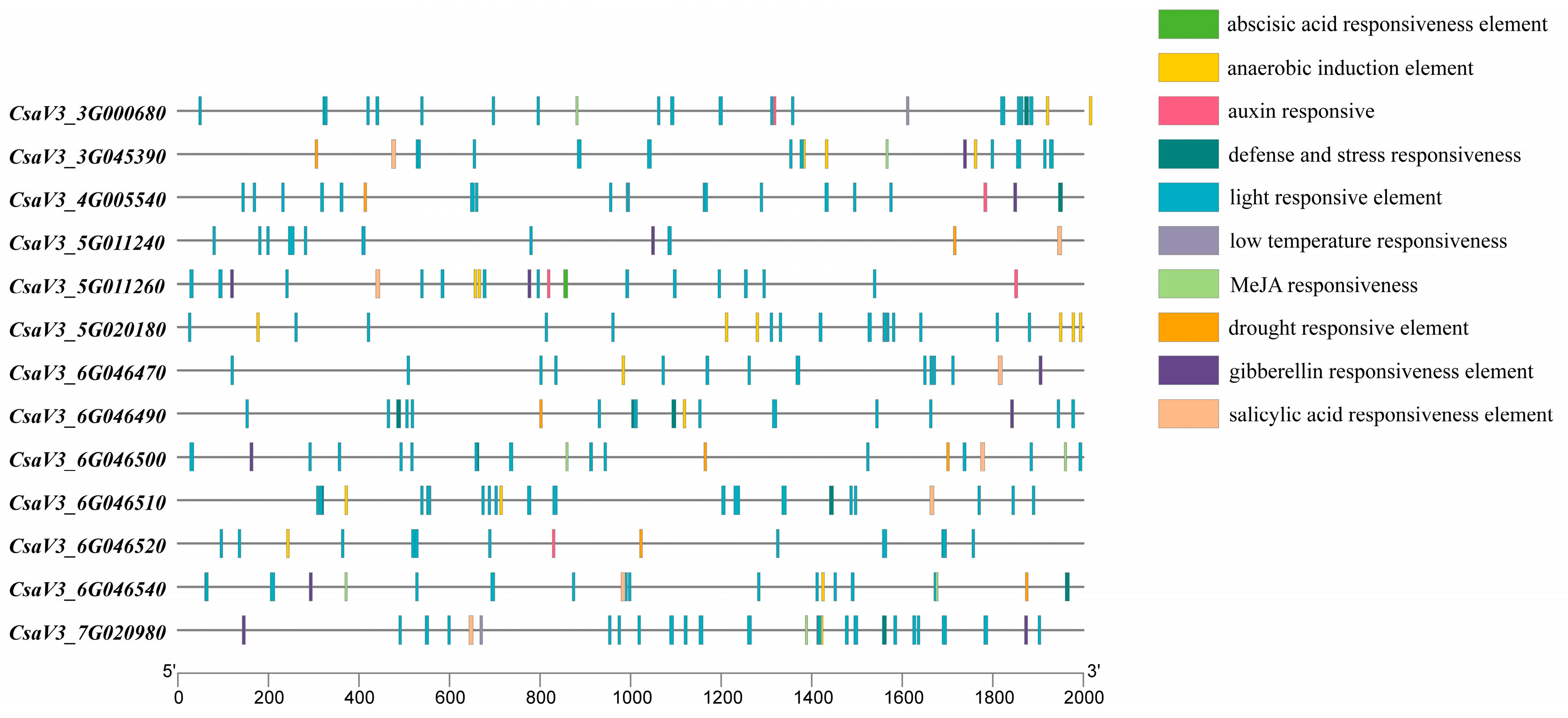 Plants 14 01748 g005