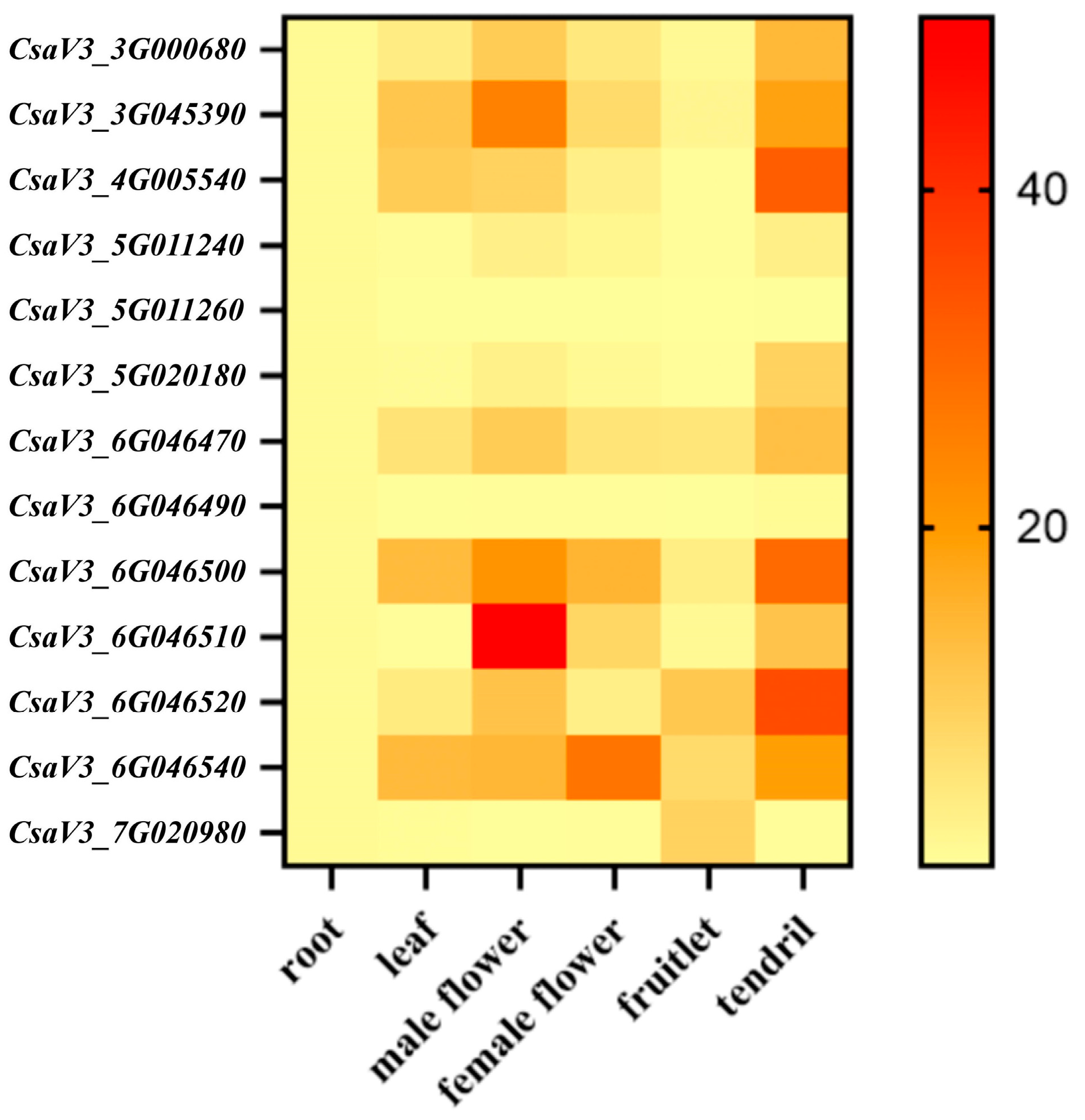 Plants 14 01748 g006
