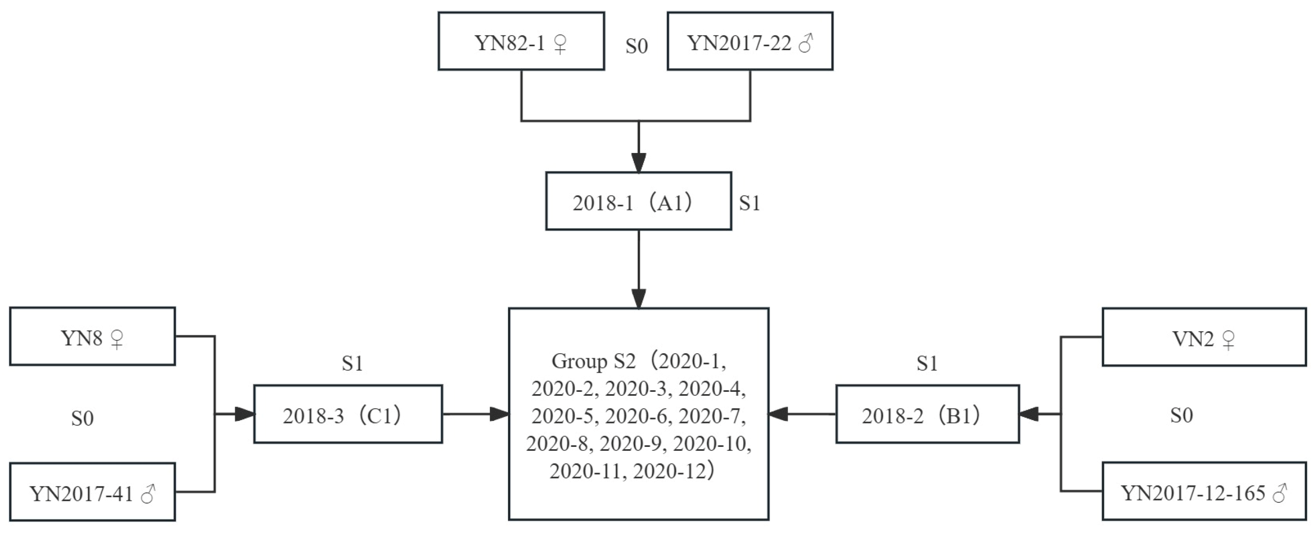 Plants 14 01750 g001